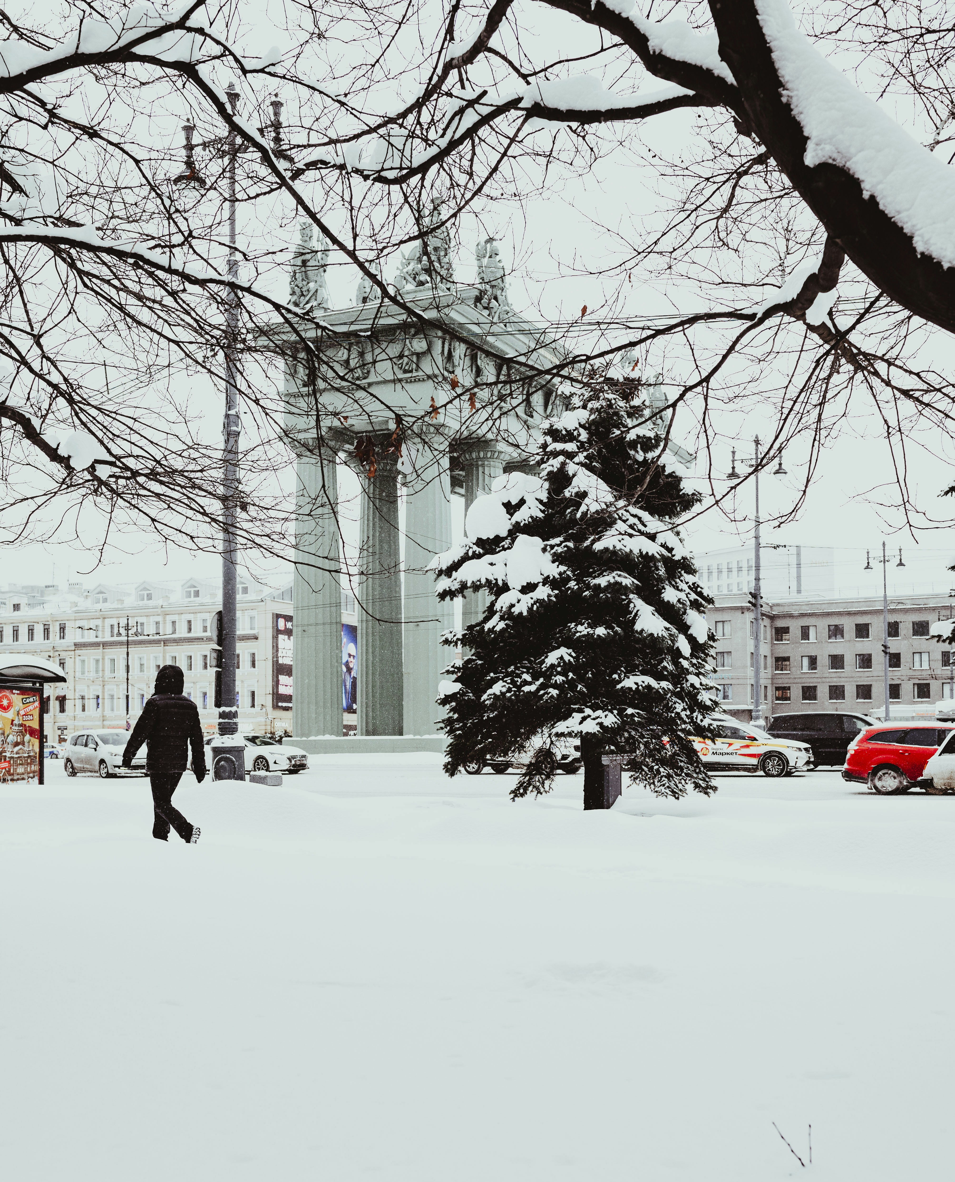 Photo by yuri_tretyakov