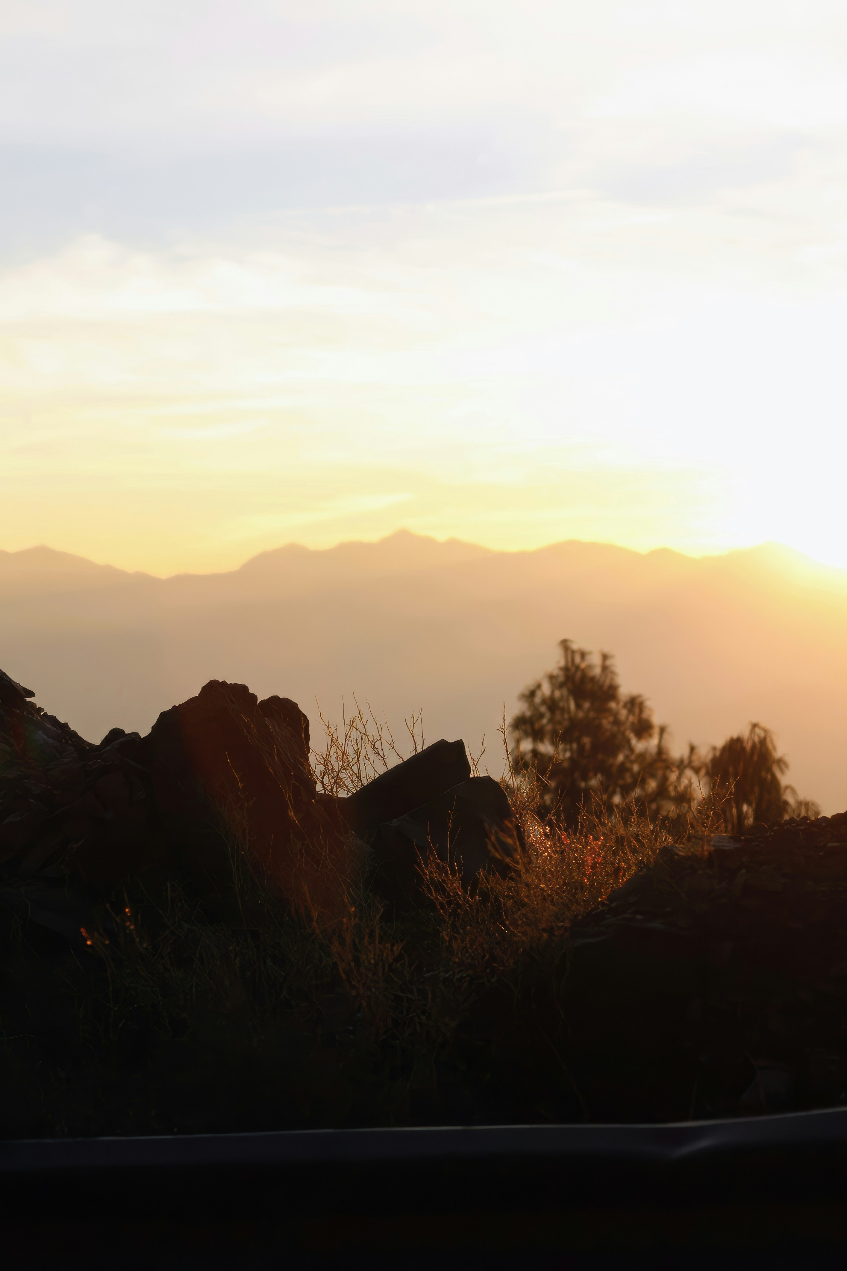 Silhouettenhafte Felsen und Bäume vor einem nebligen Sonnenuntergang.