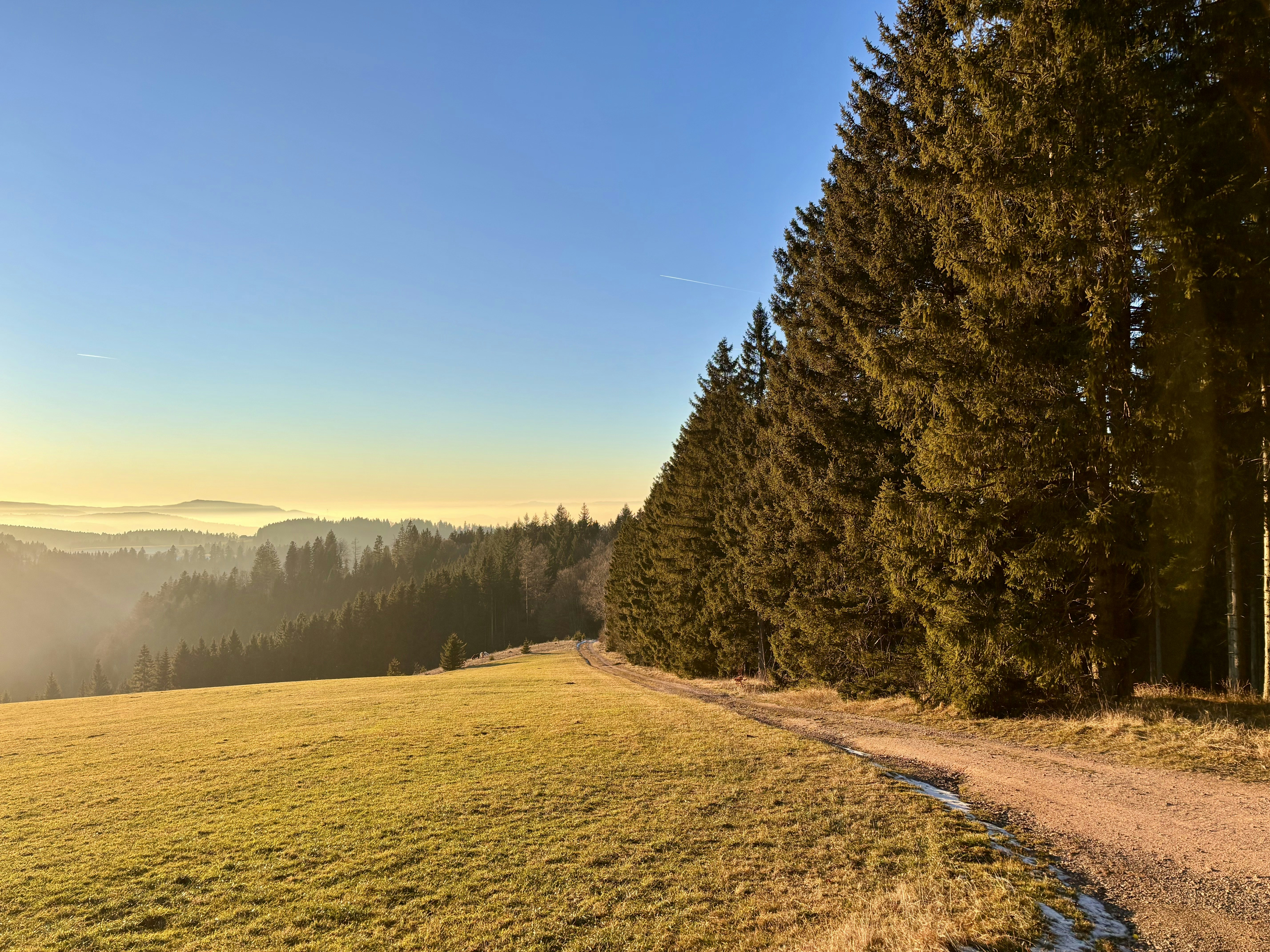 Forêt d'Iraty — Larrau