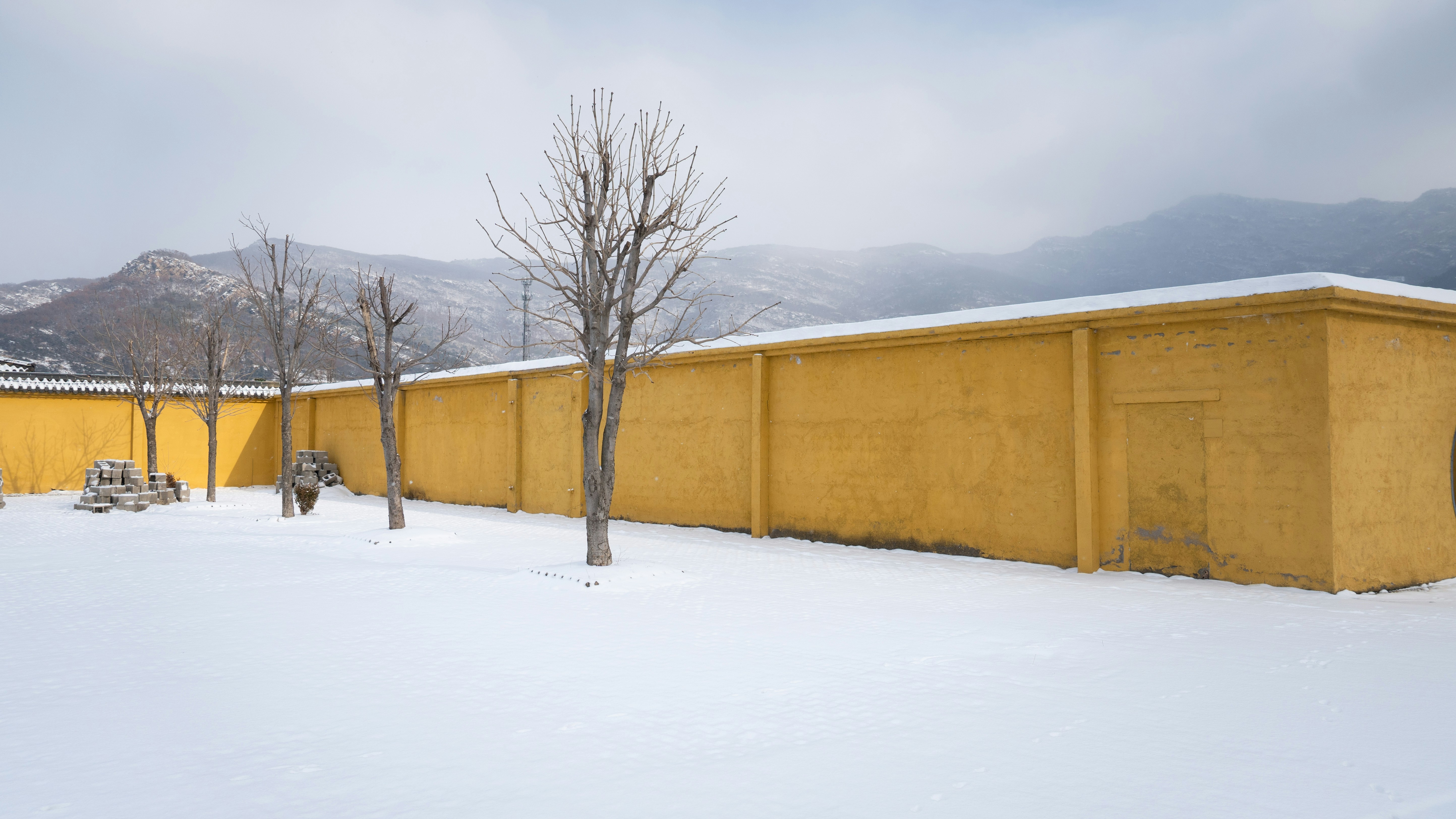 Yellow wall and bare trees in a snowy landscape