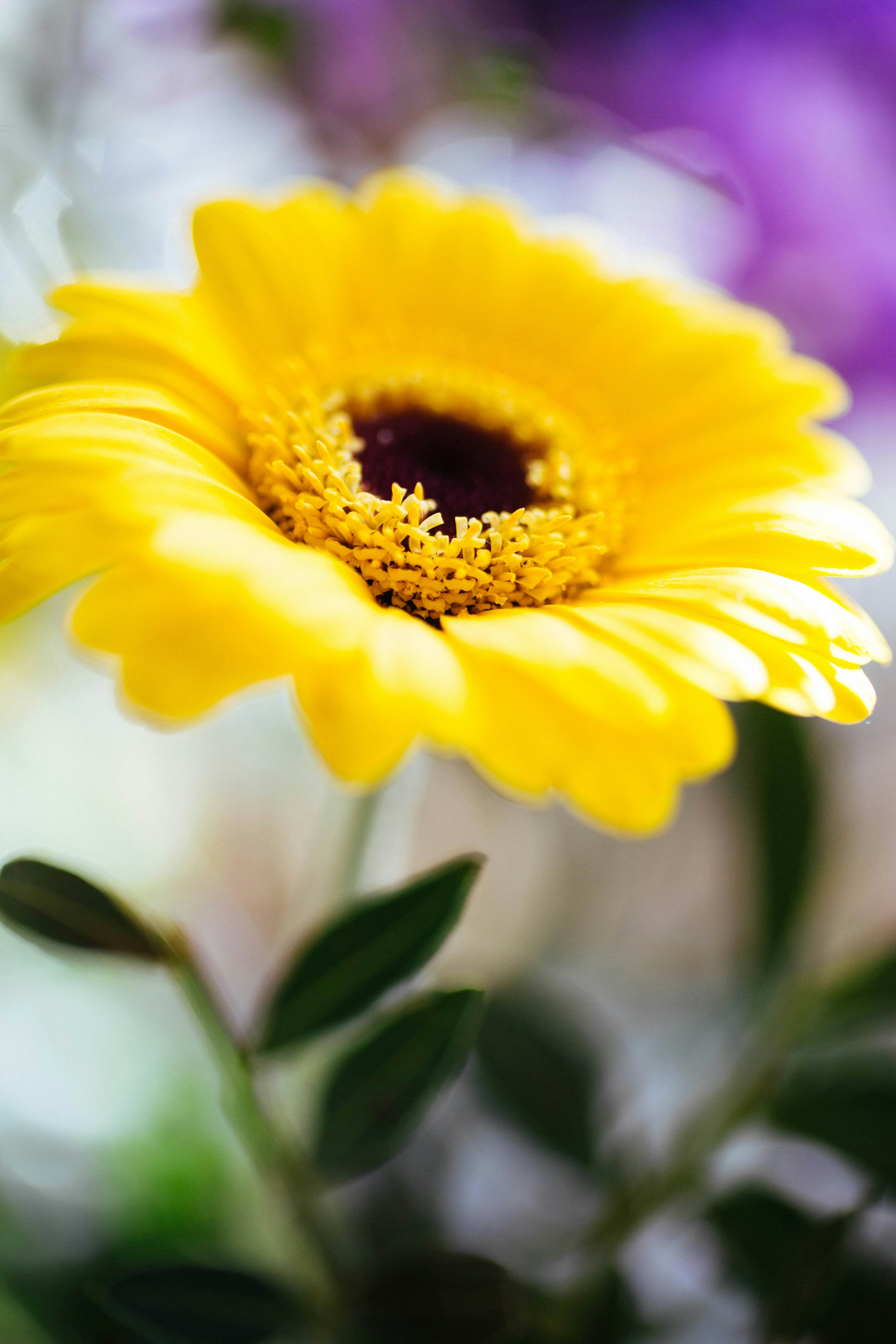 Photo by philhearing