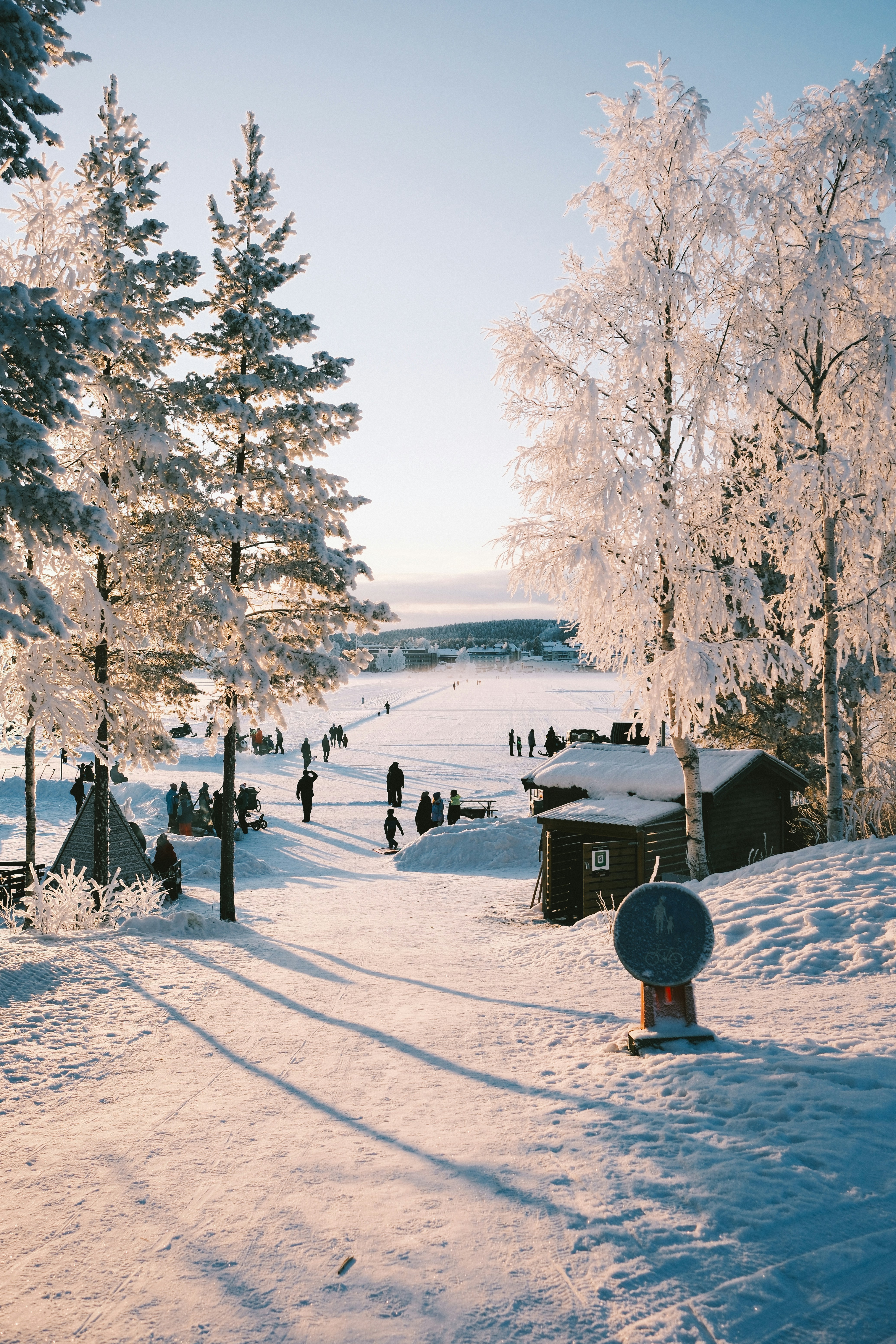 Snowy landscape with frosted trees and distant people.