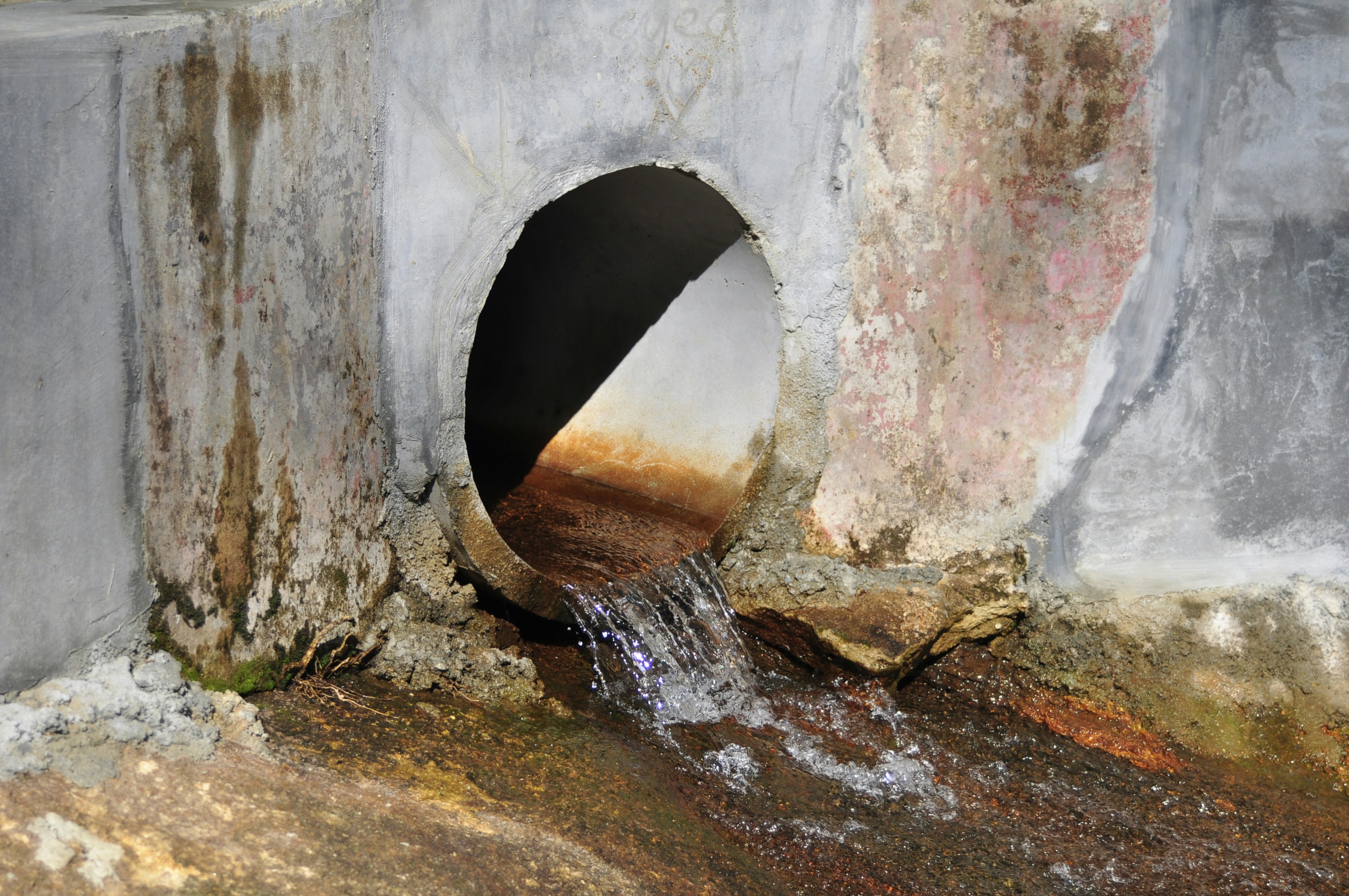 Water flowing from a concrete pipe into a stream.