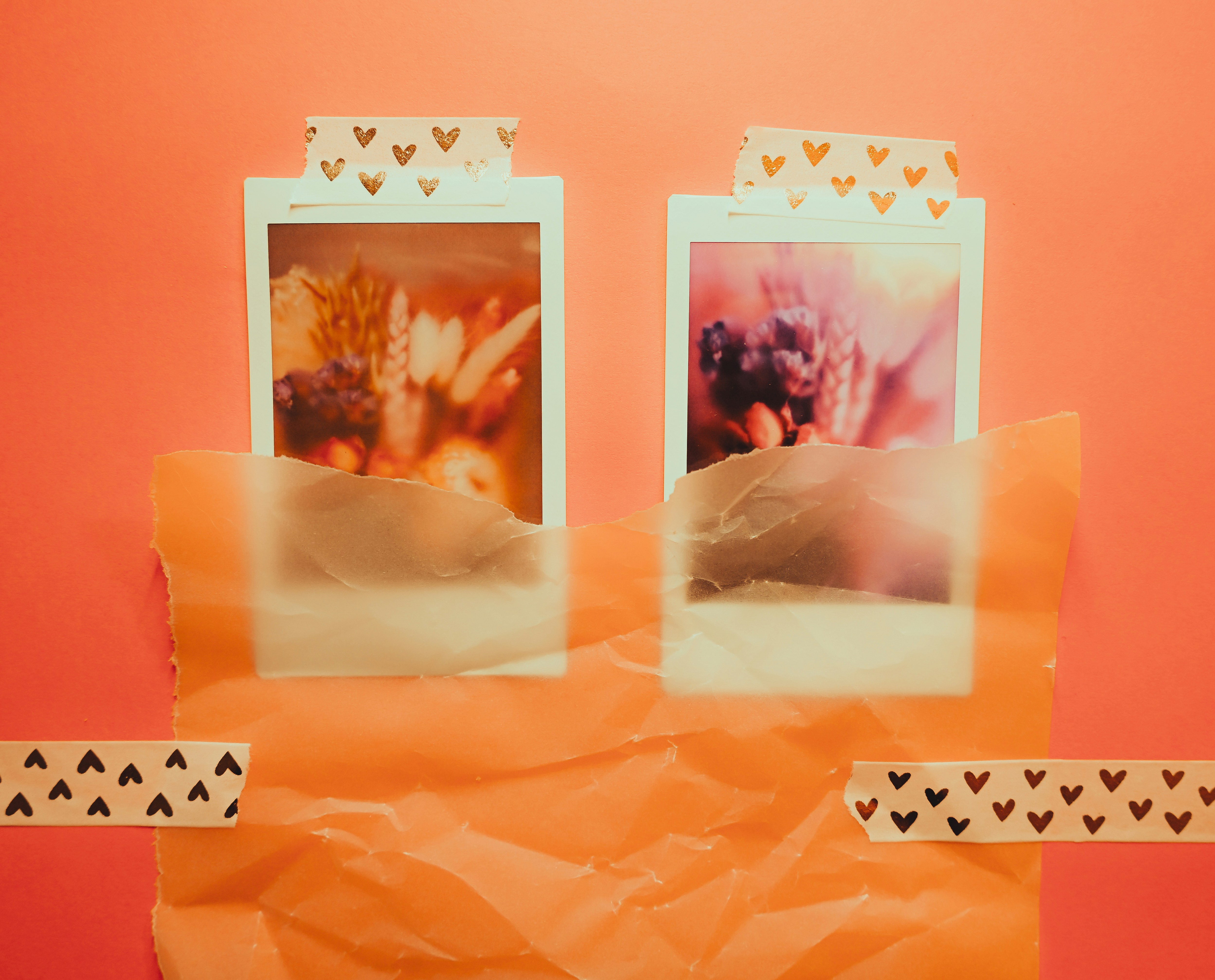Two instant photos of flowers taped to a wall
