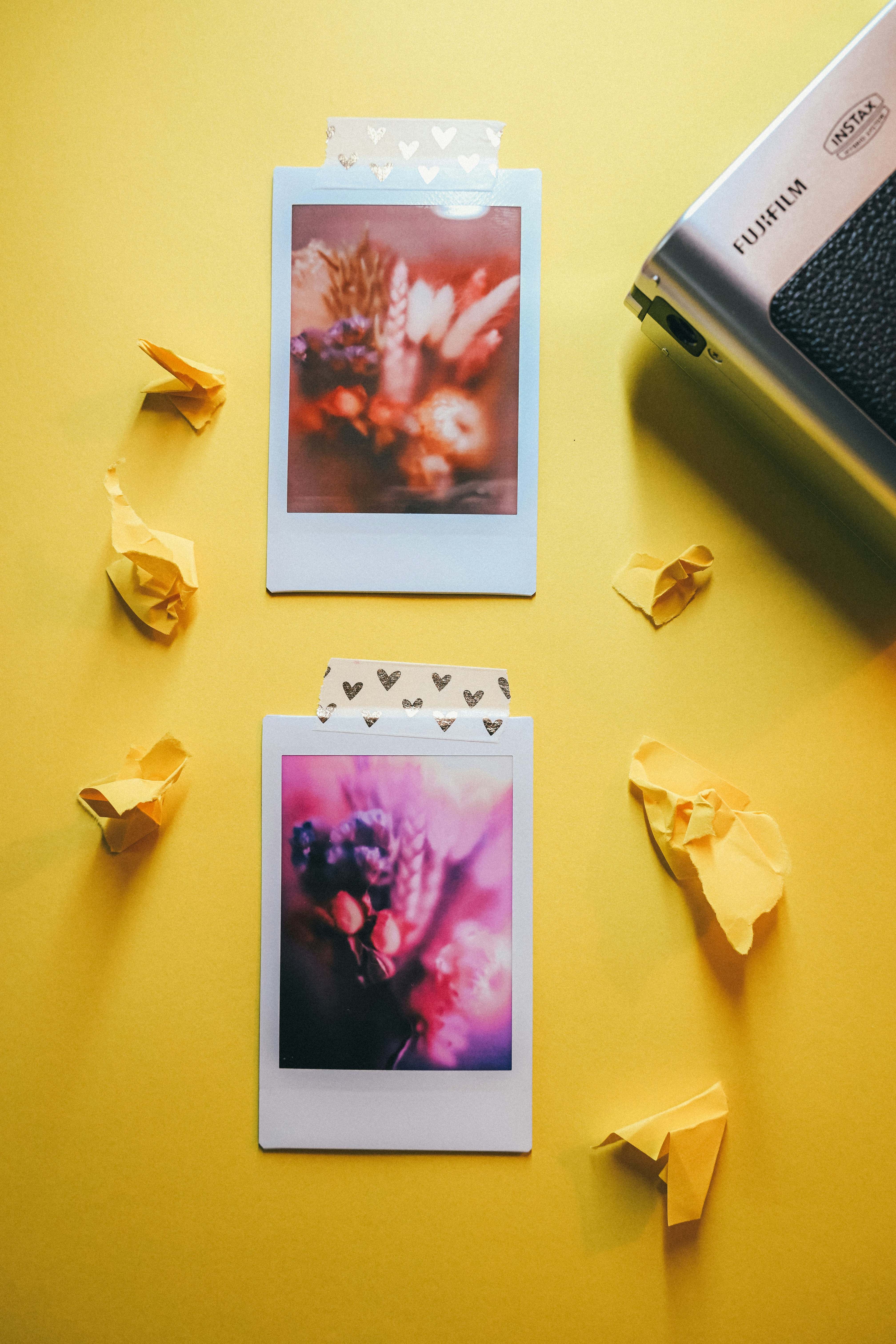 Two instant photos of flowers on yellow background