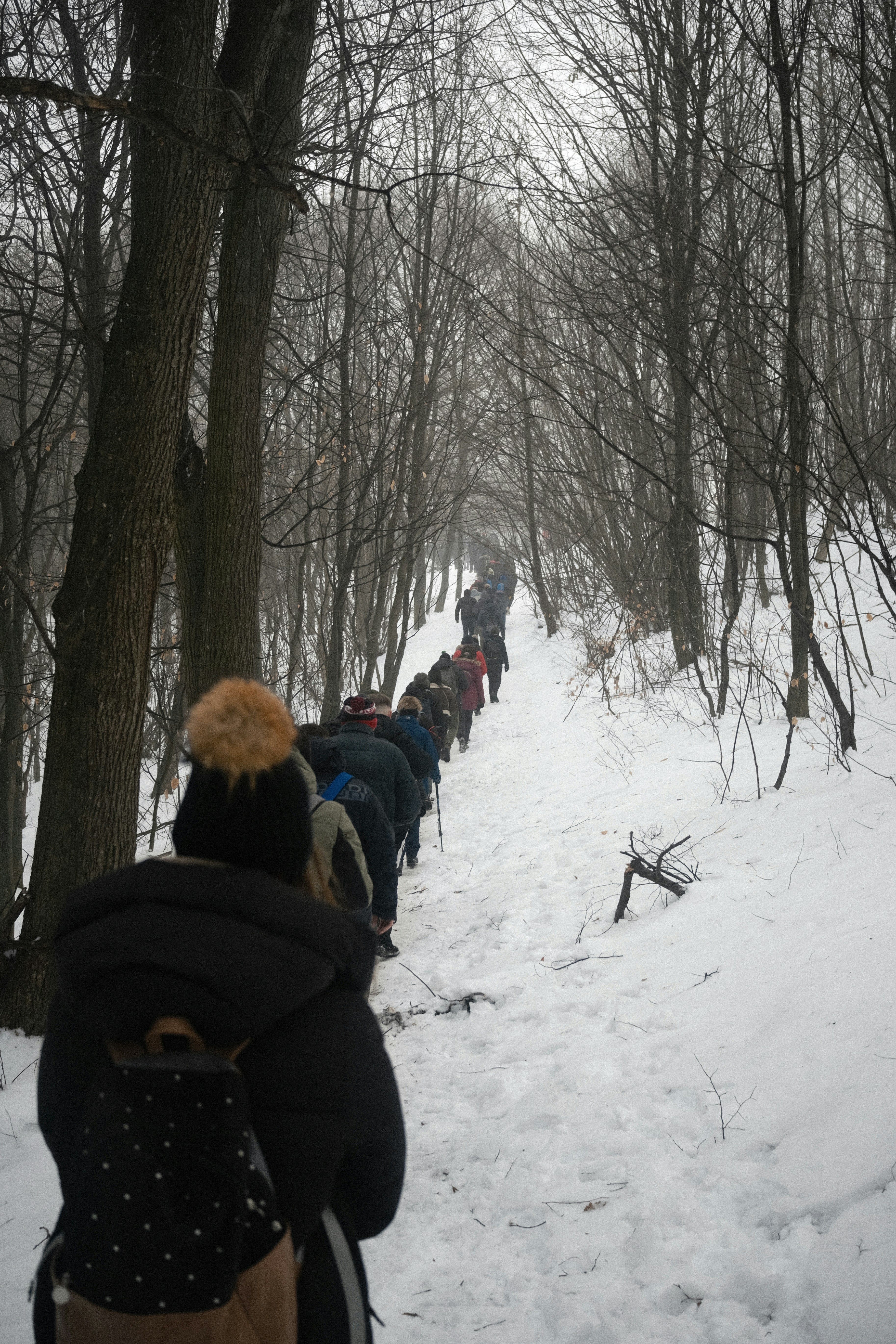 A group of people hiking up a snowy forest path.