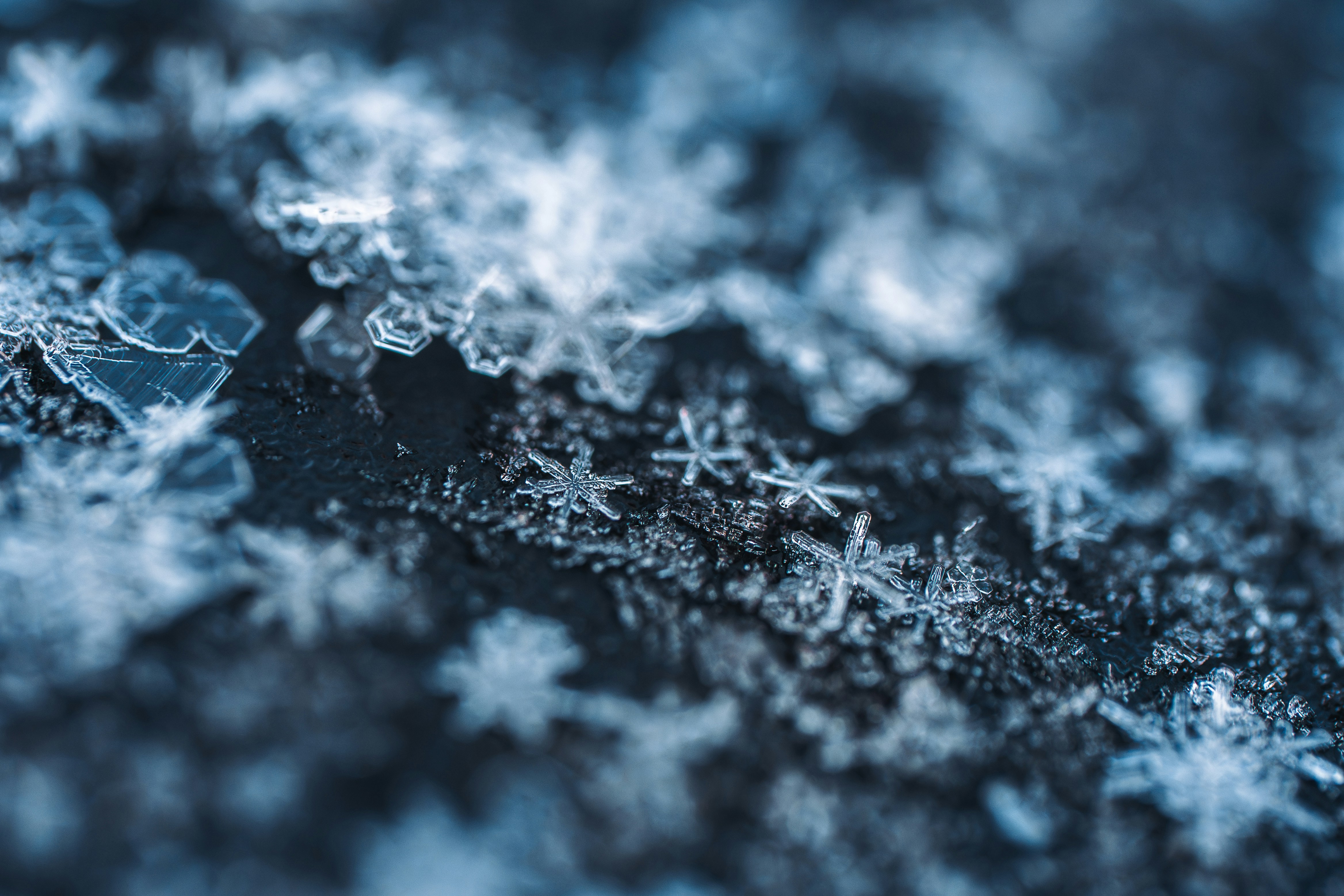 Photo by macro_viewpoint