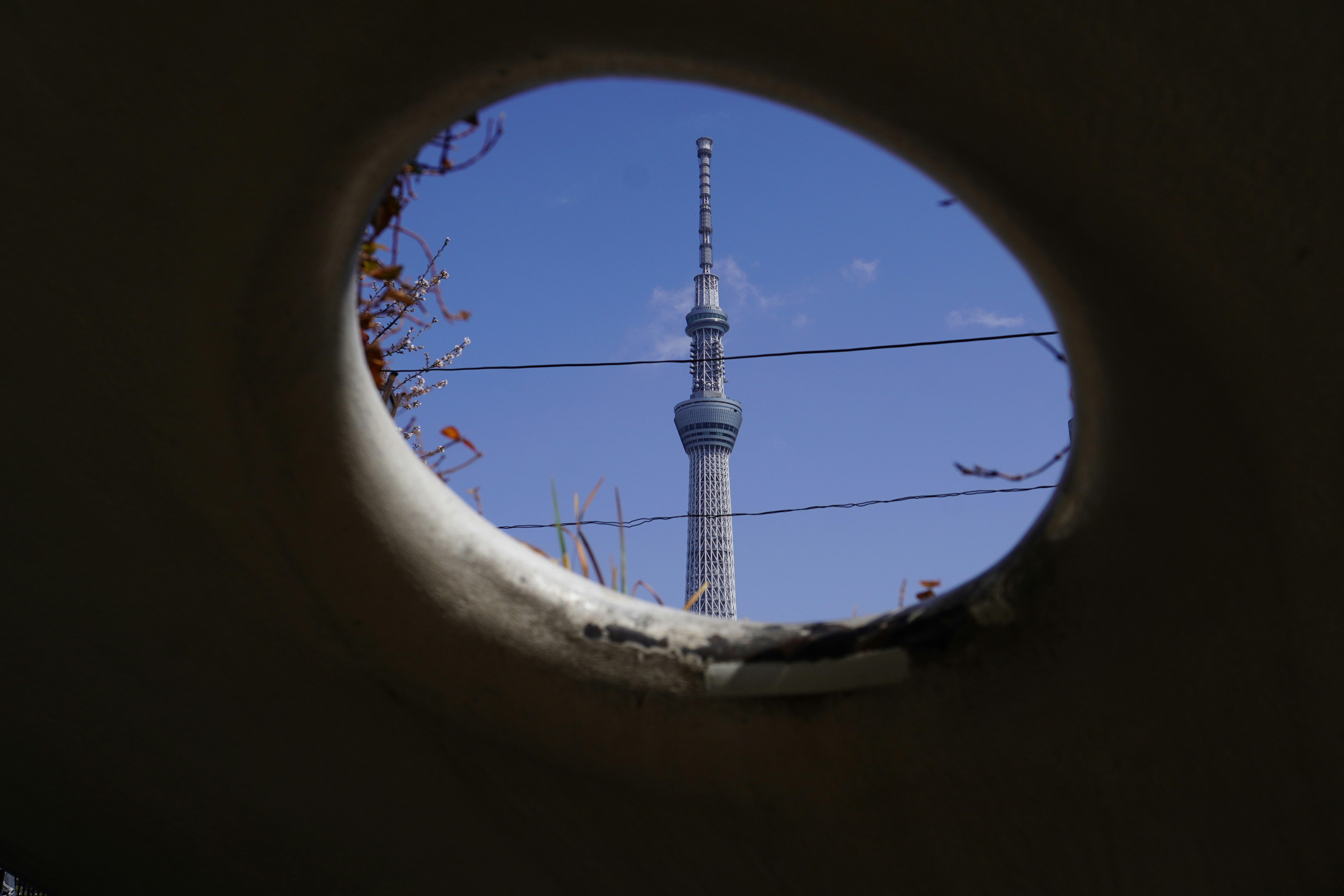 Tall tower seen through a circular opening