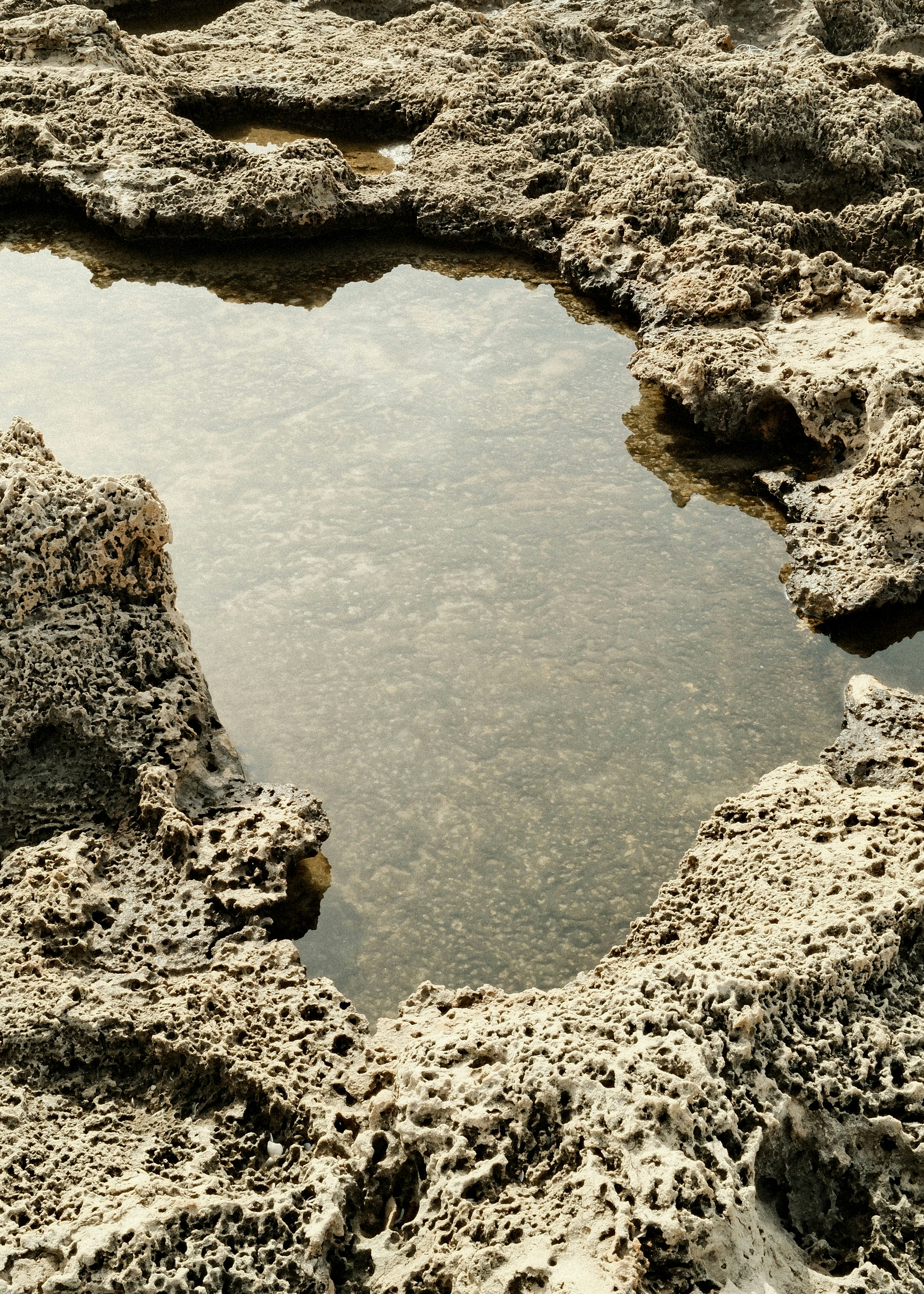 A tide pool filled with water among rough rocks