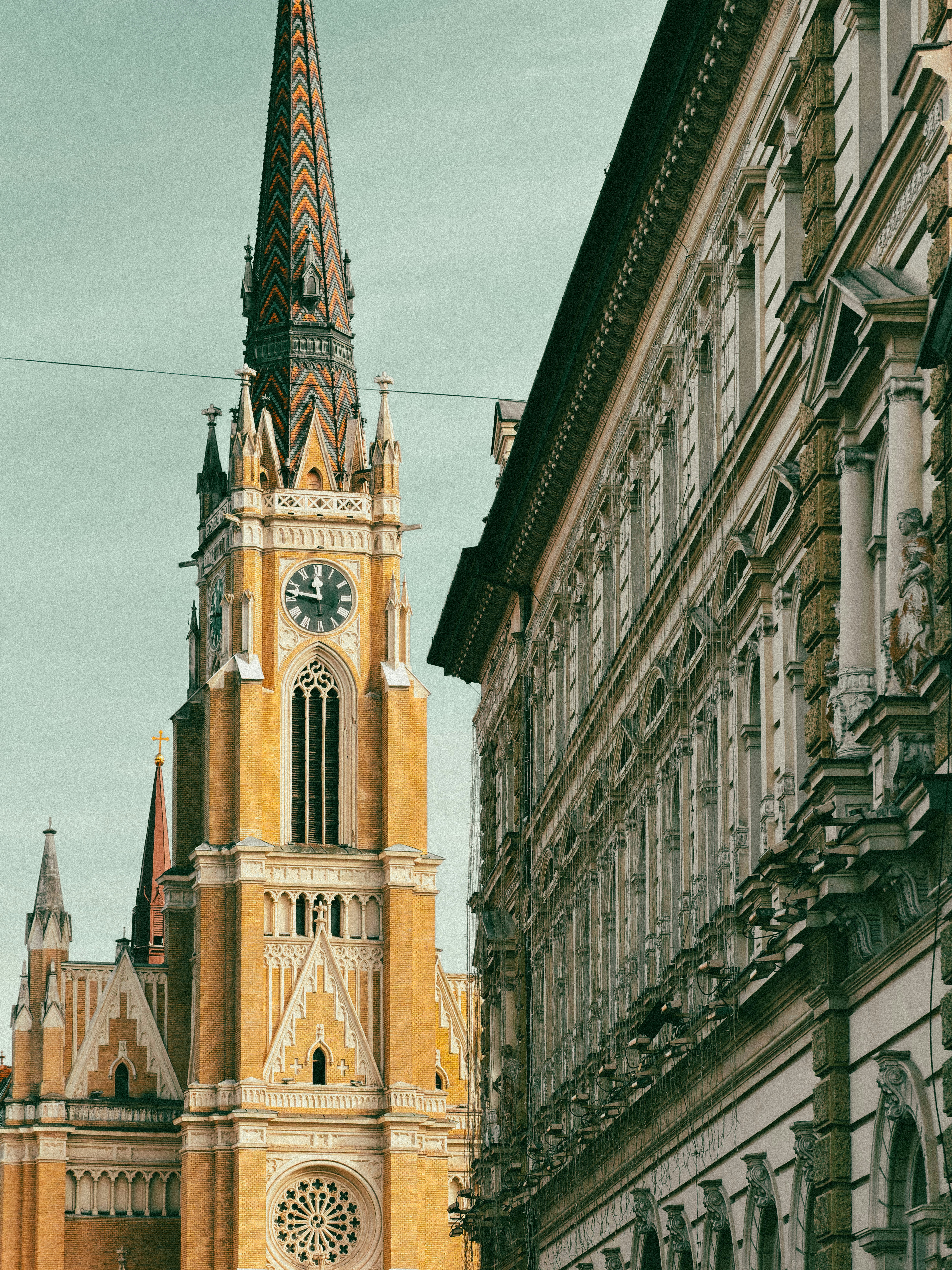 Photo by djordje_stanivukovic