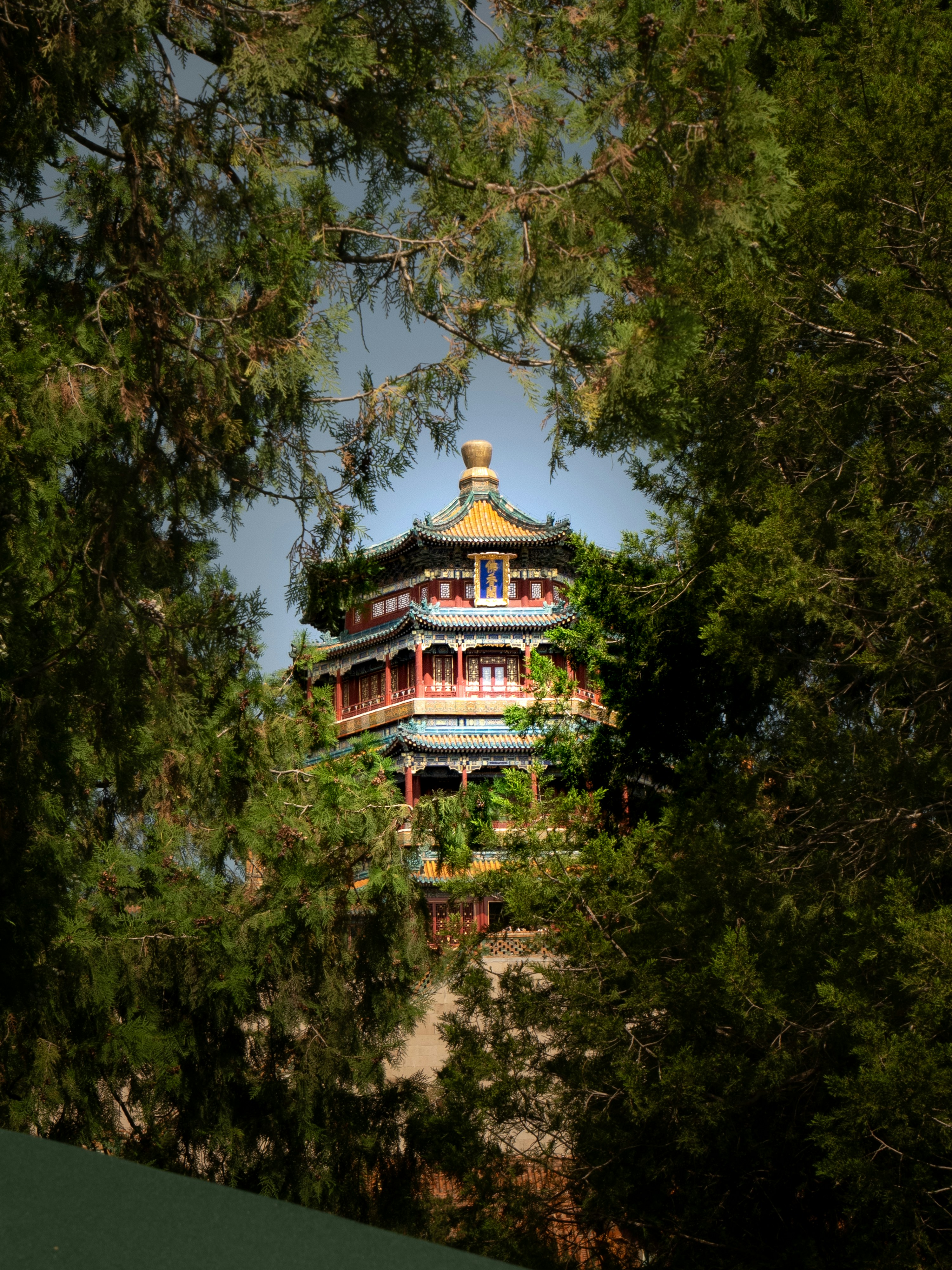 Photo by macaollarzu