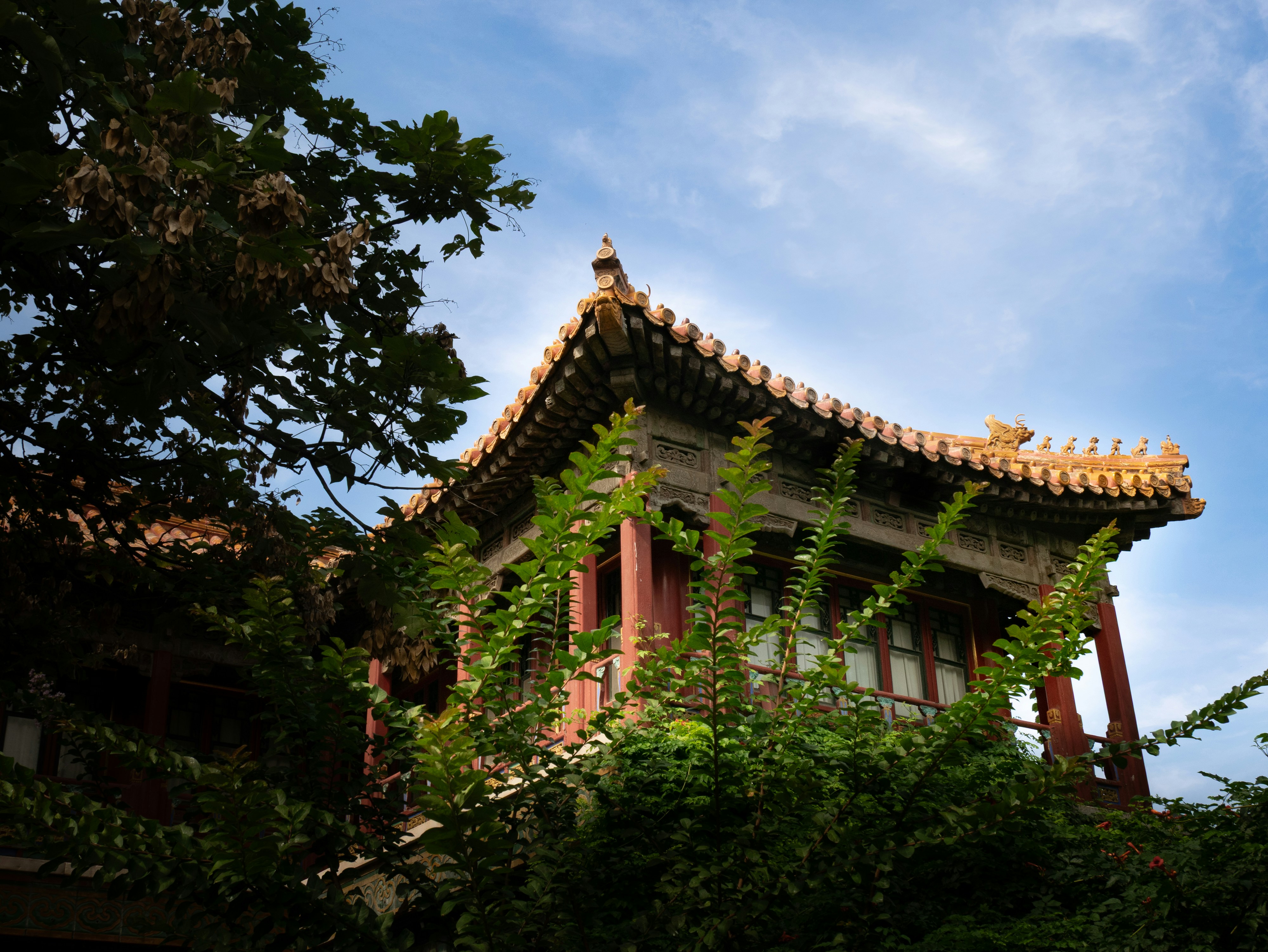 Photo by macaollarzu