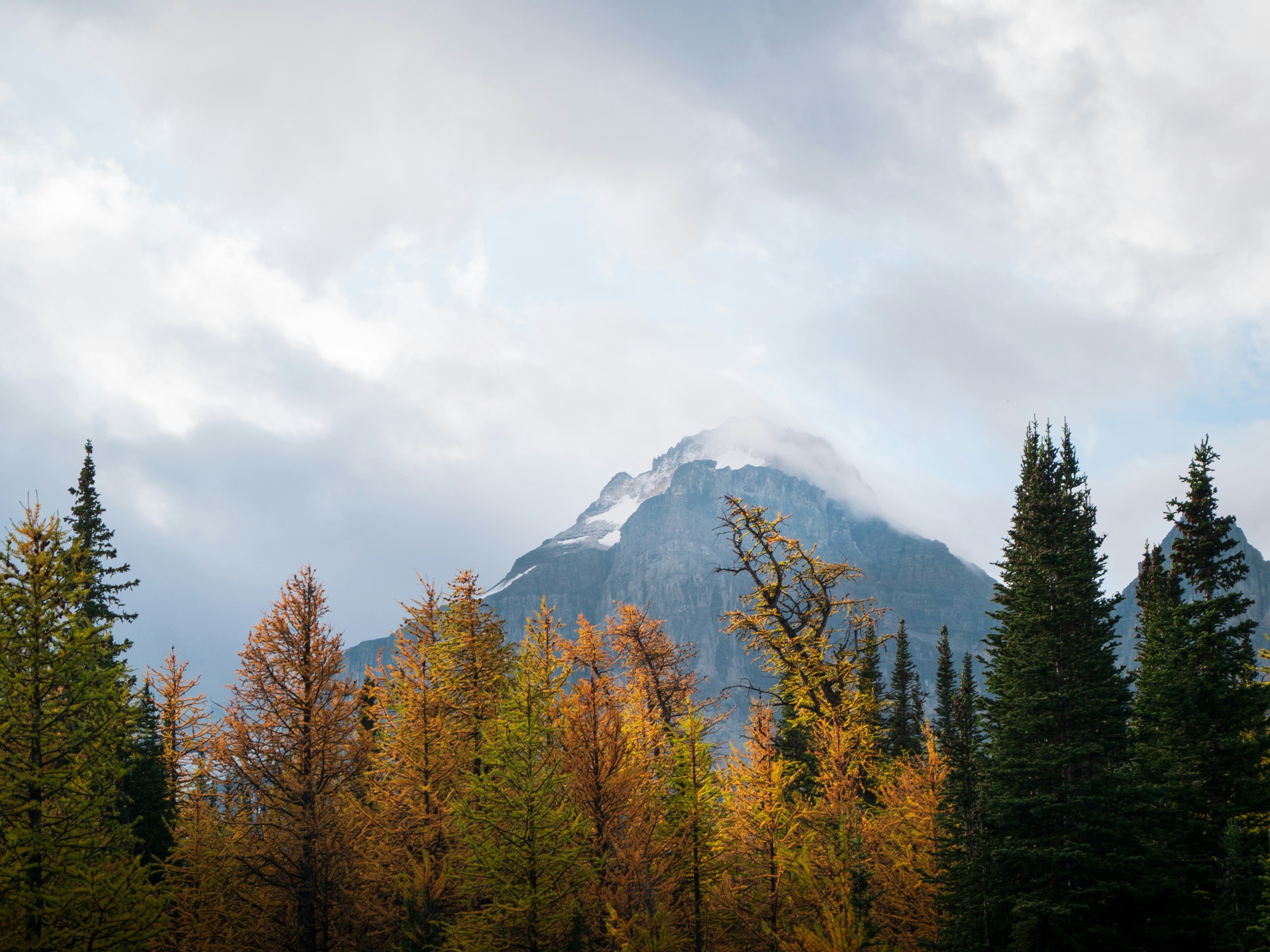 Photo by macaollarzu