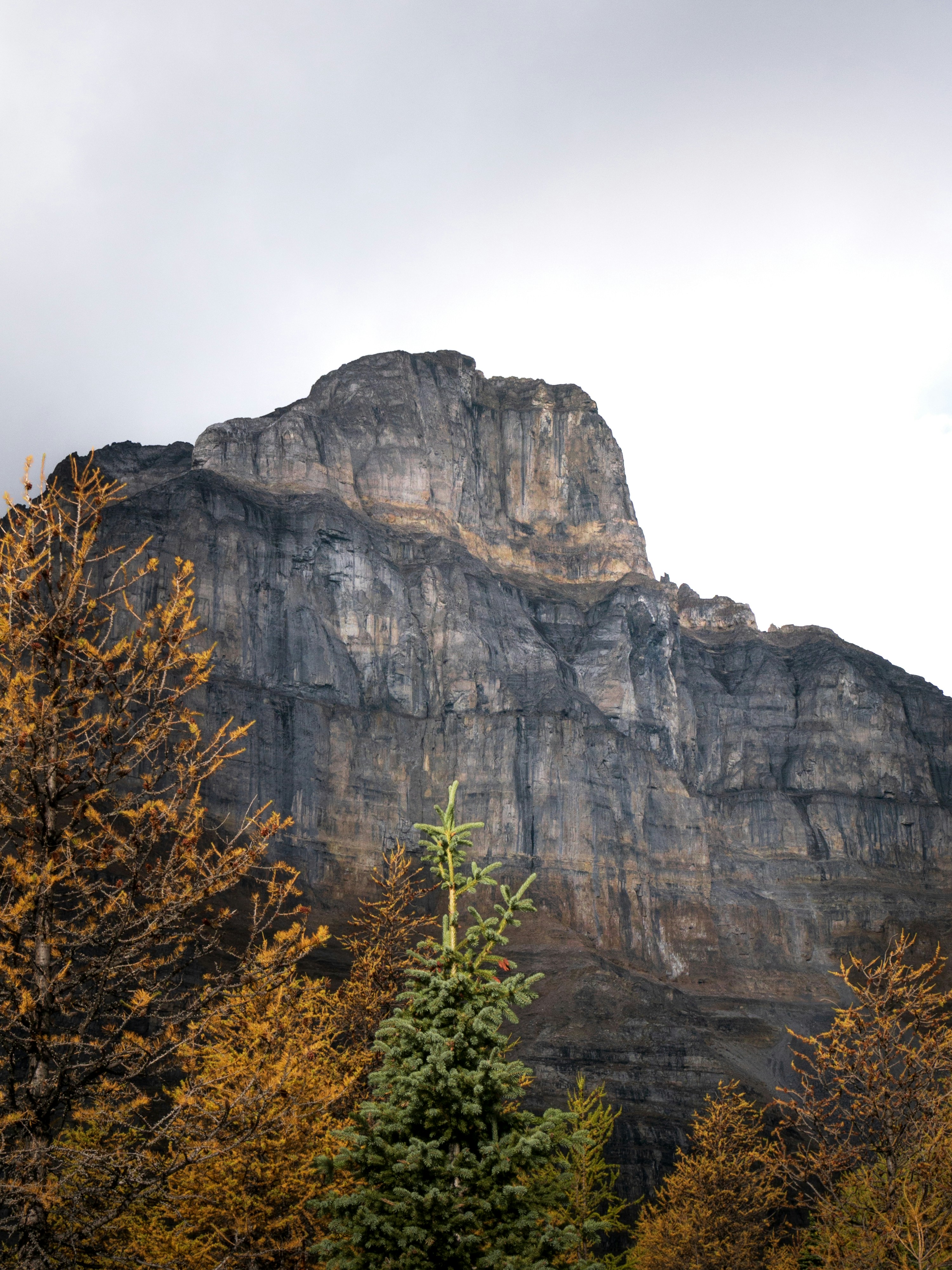 Photo by macaollarzu