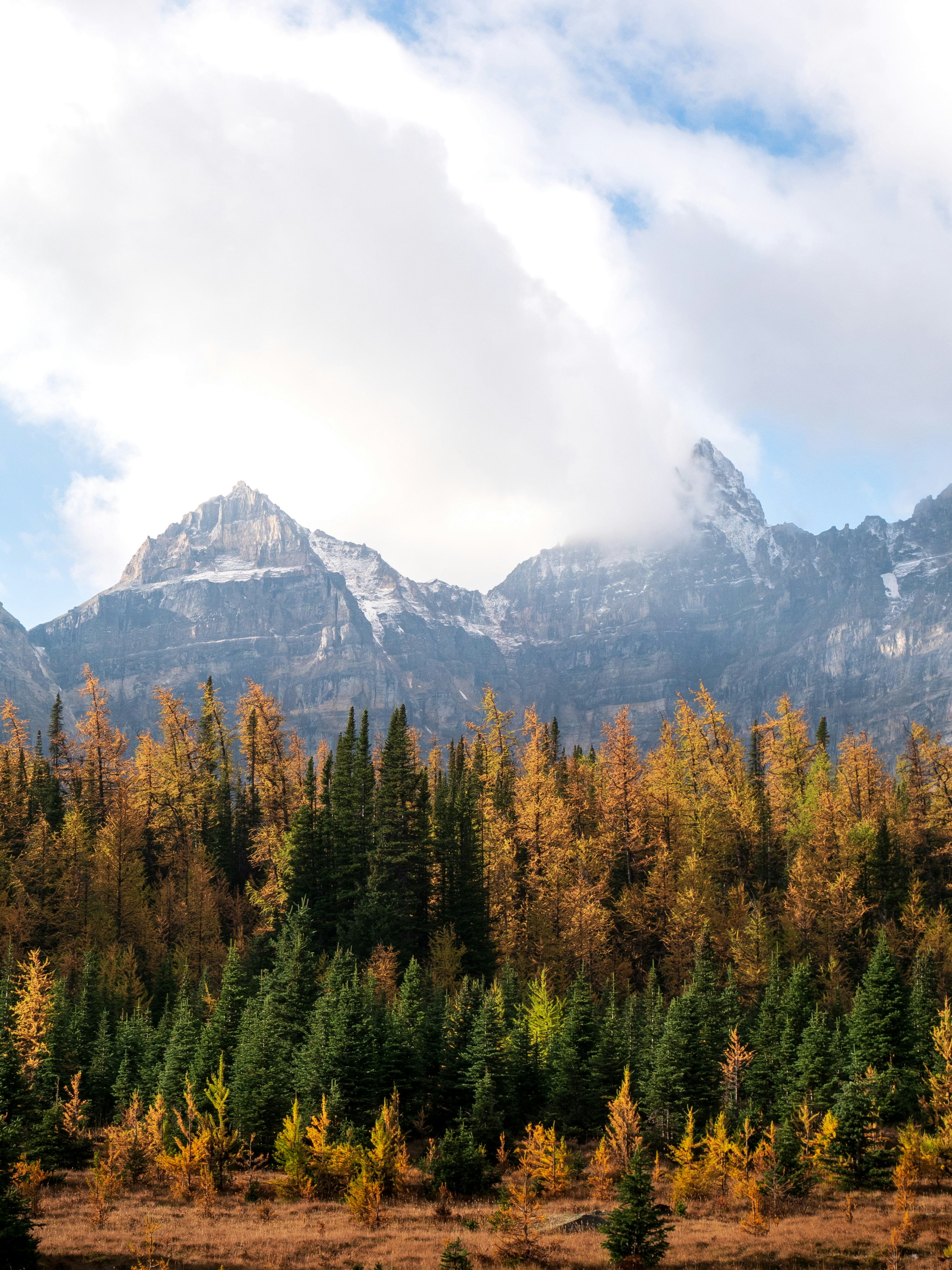 Photo by macaollarzu