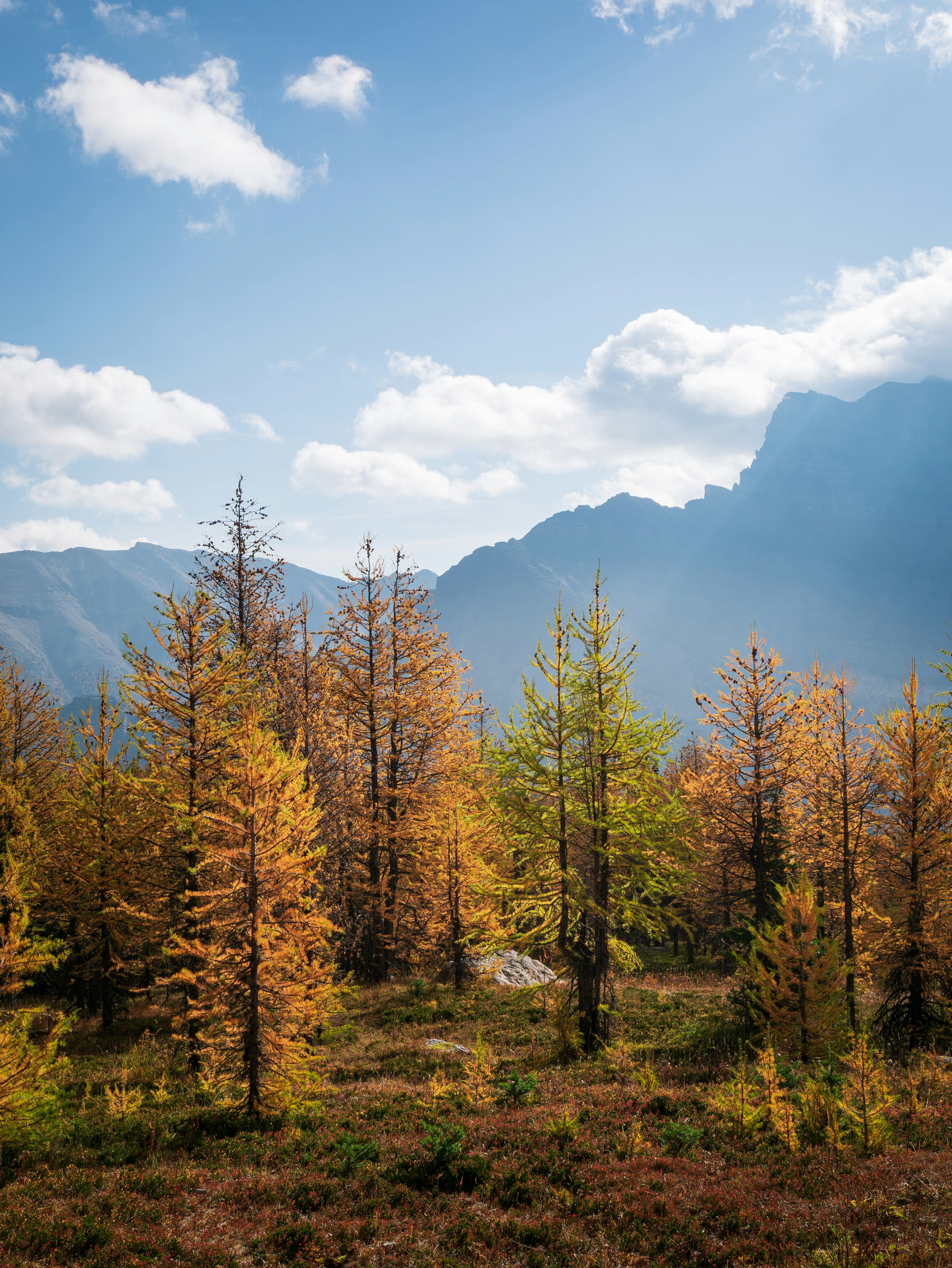 Photo by macaollarzu