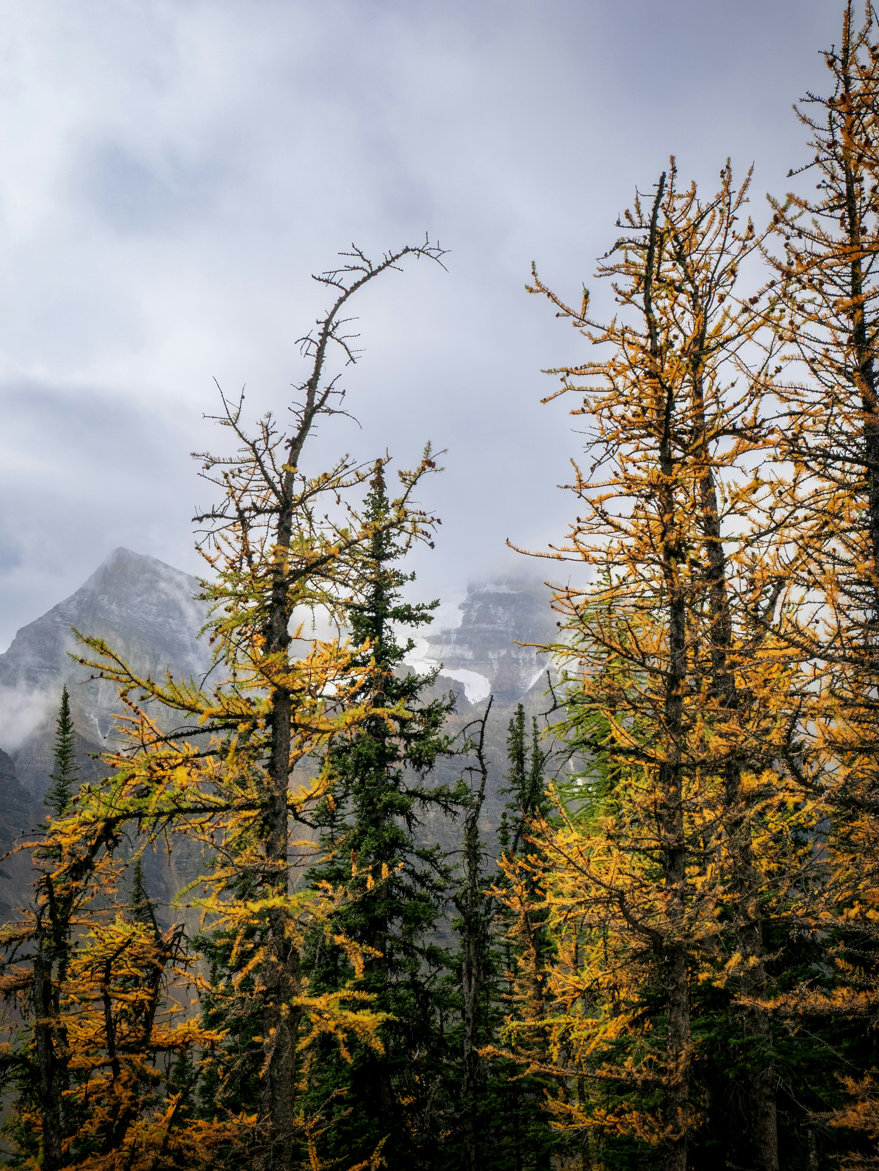 Photo by macaollarzu