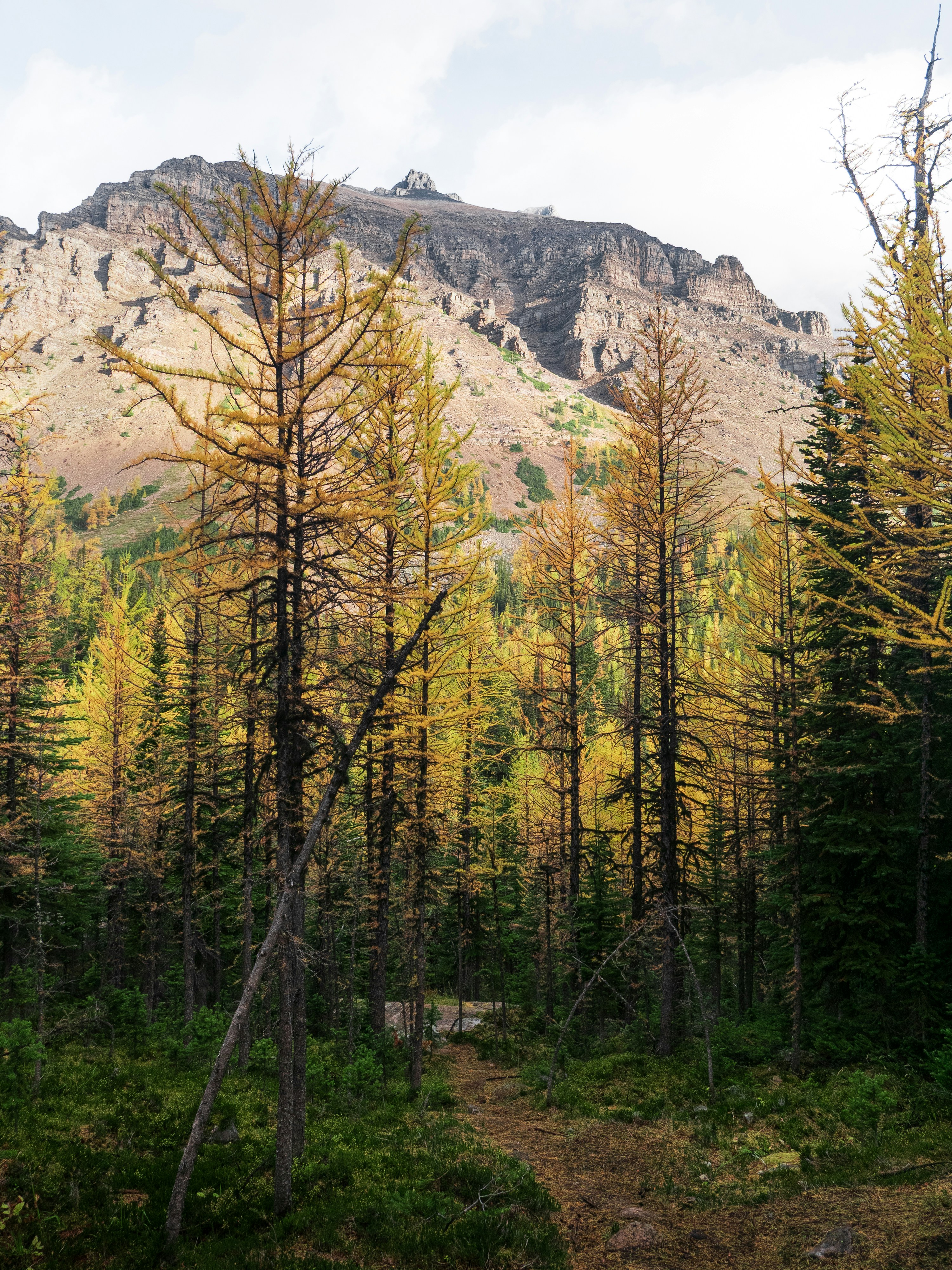 Photo by macaollarzu