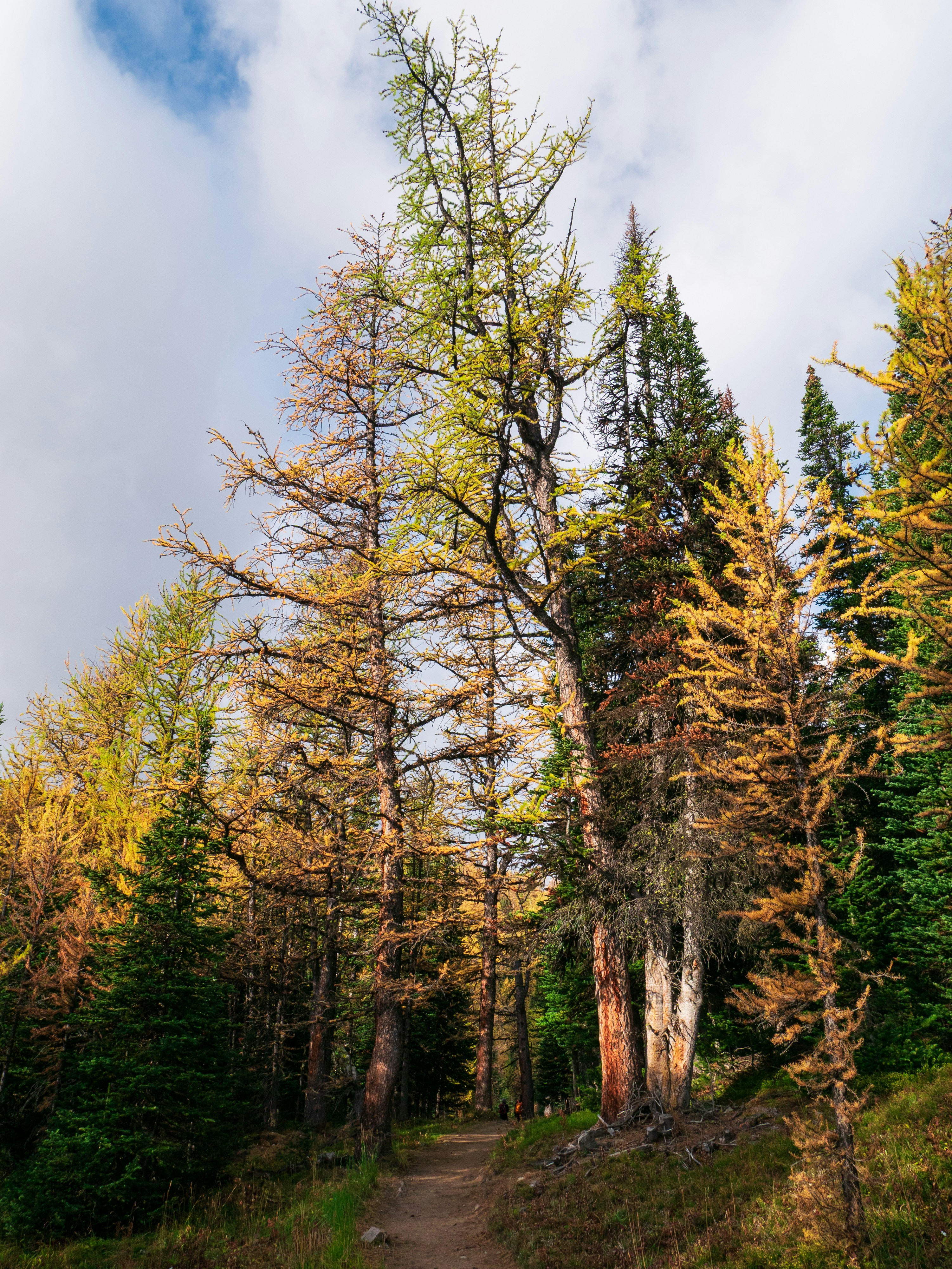 Photo by macaollarzu