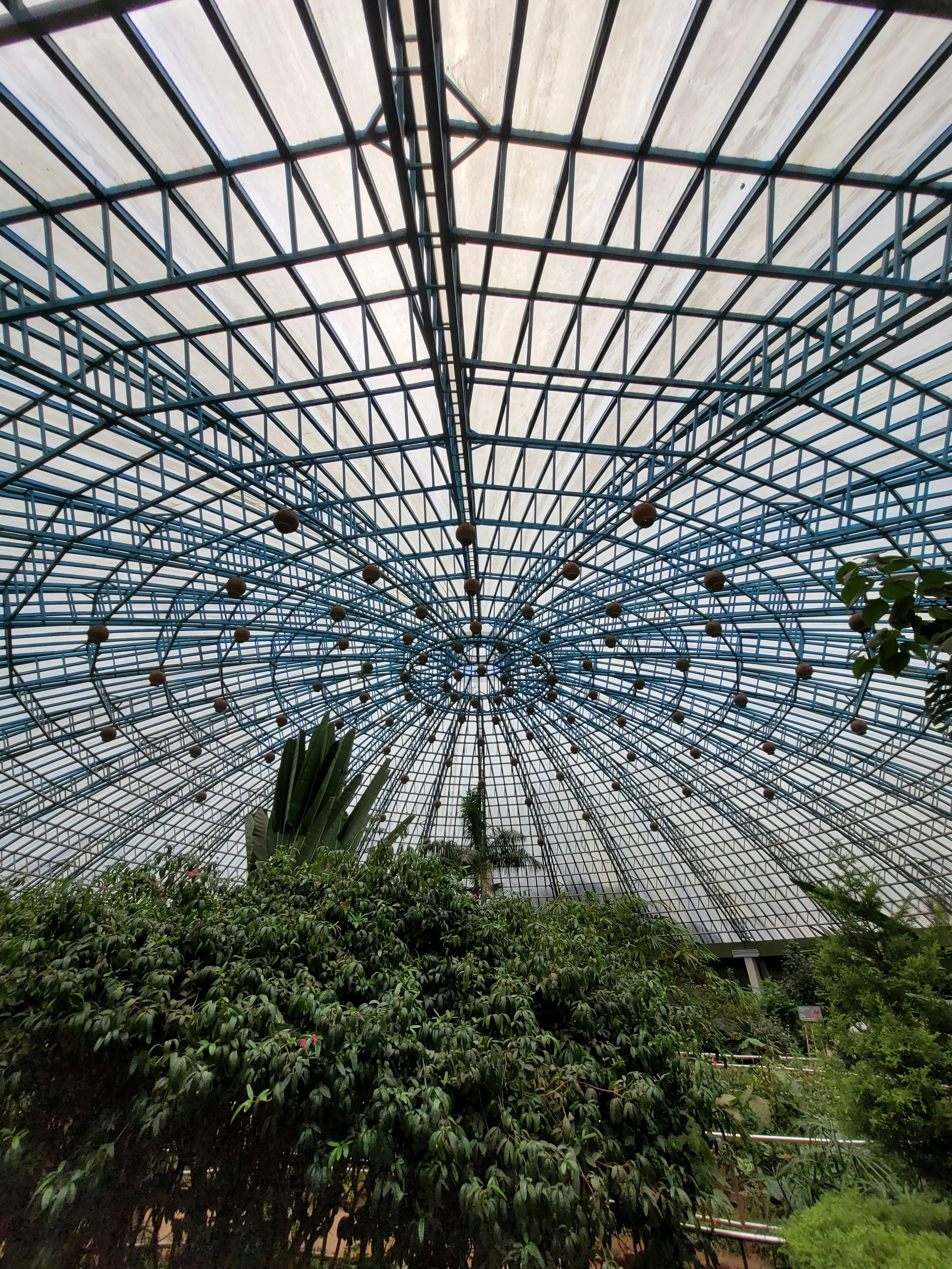 Photo by harshafonsi