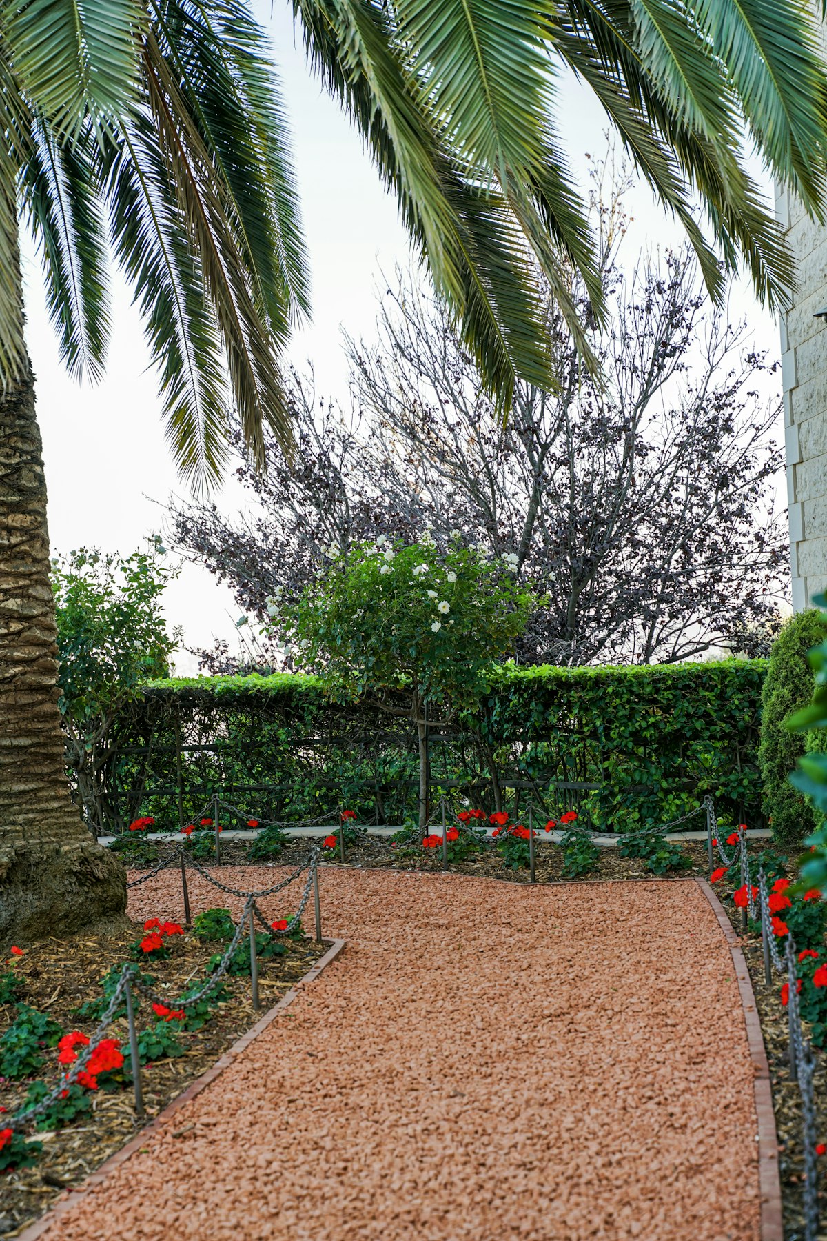 DIY Rain Gardens: How to Capture Roof Runoff and Stop Driveway Flooding
