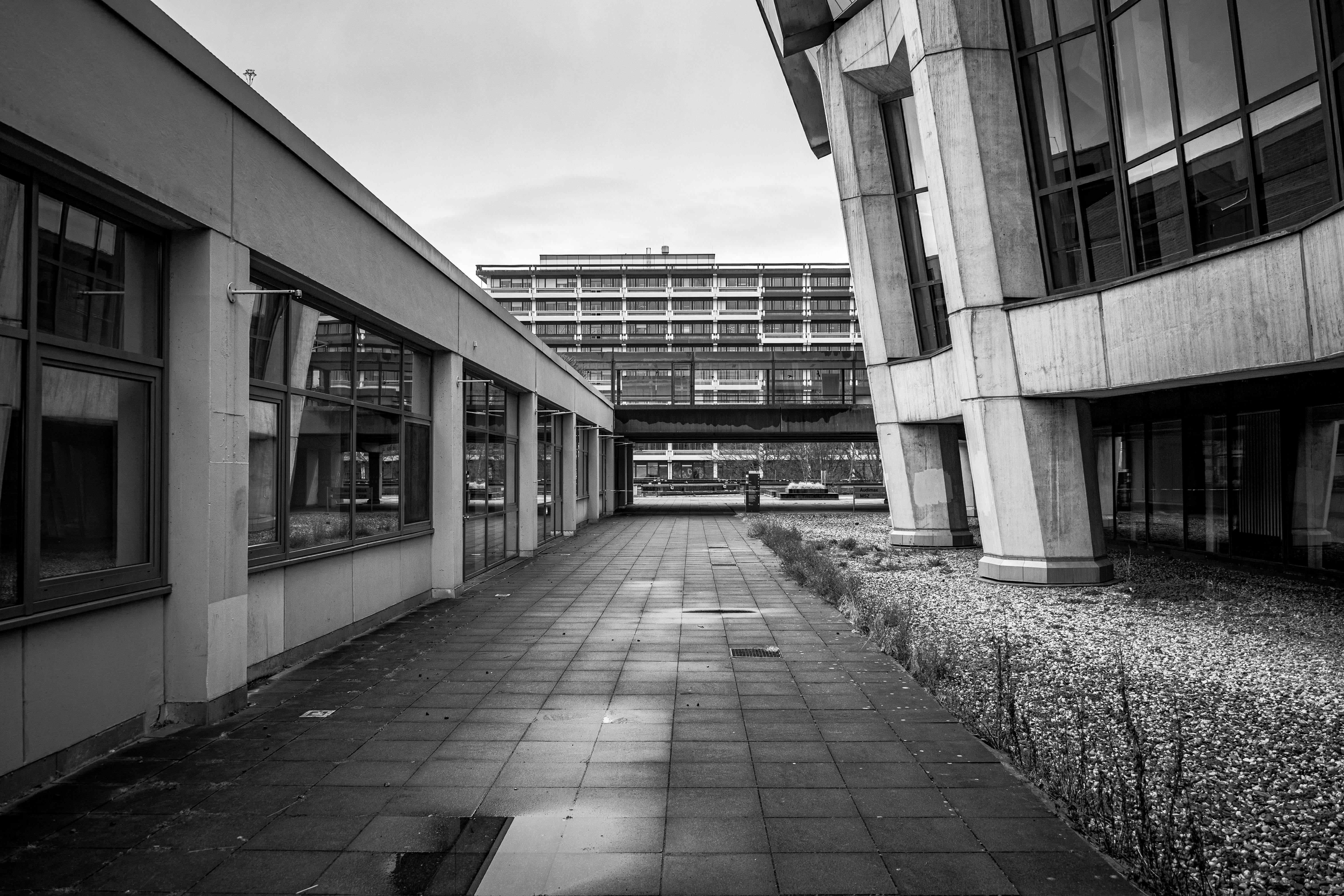 Photo by justmejuliee