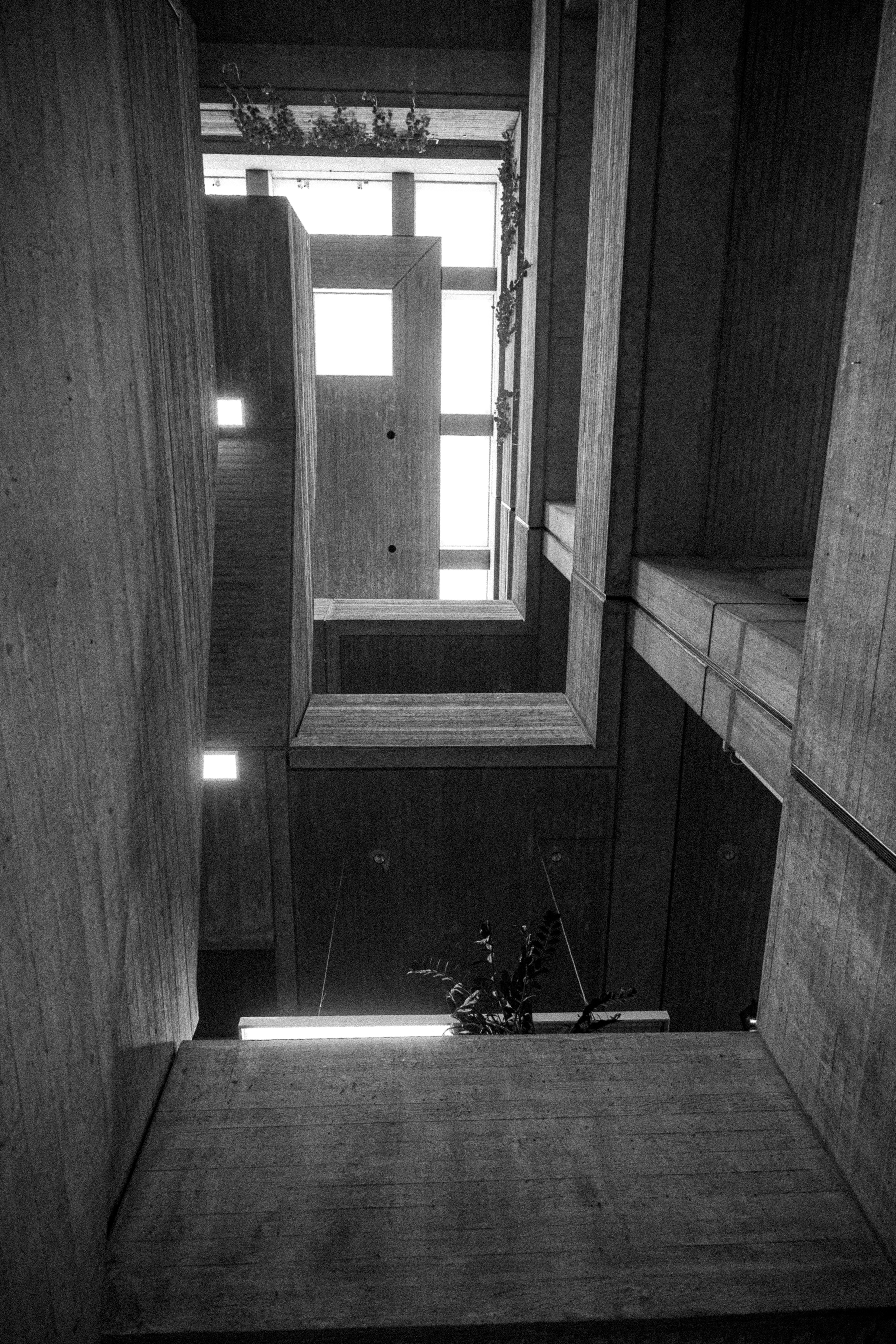 Photo by justmejuliee