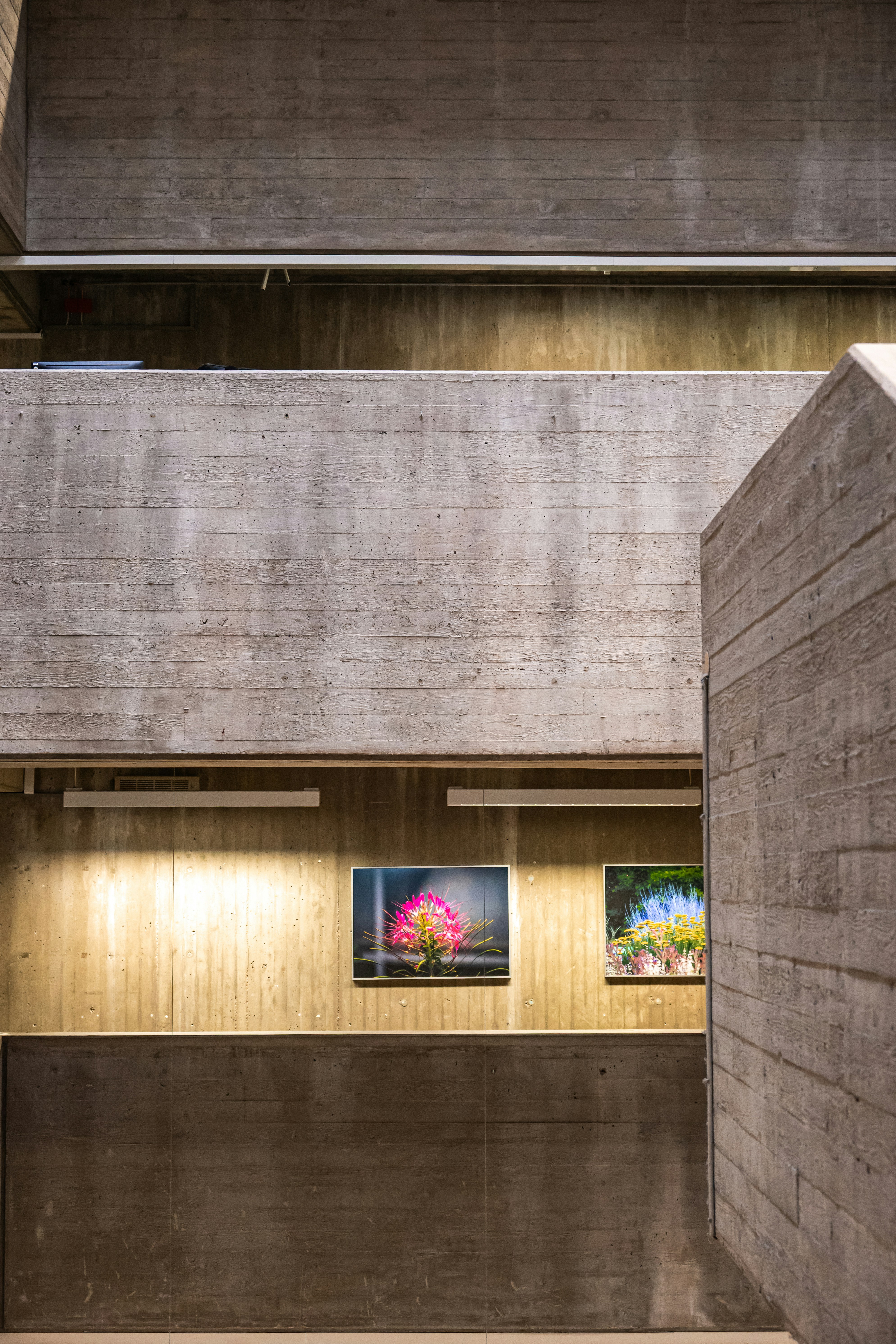 Two framed floral artworks displayed on a concrete wall.