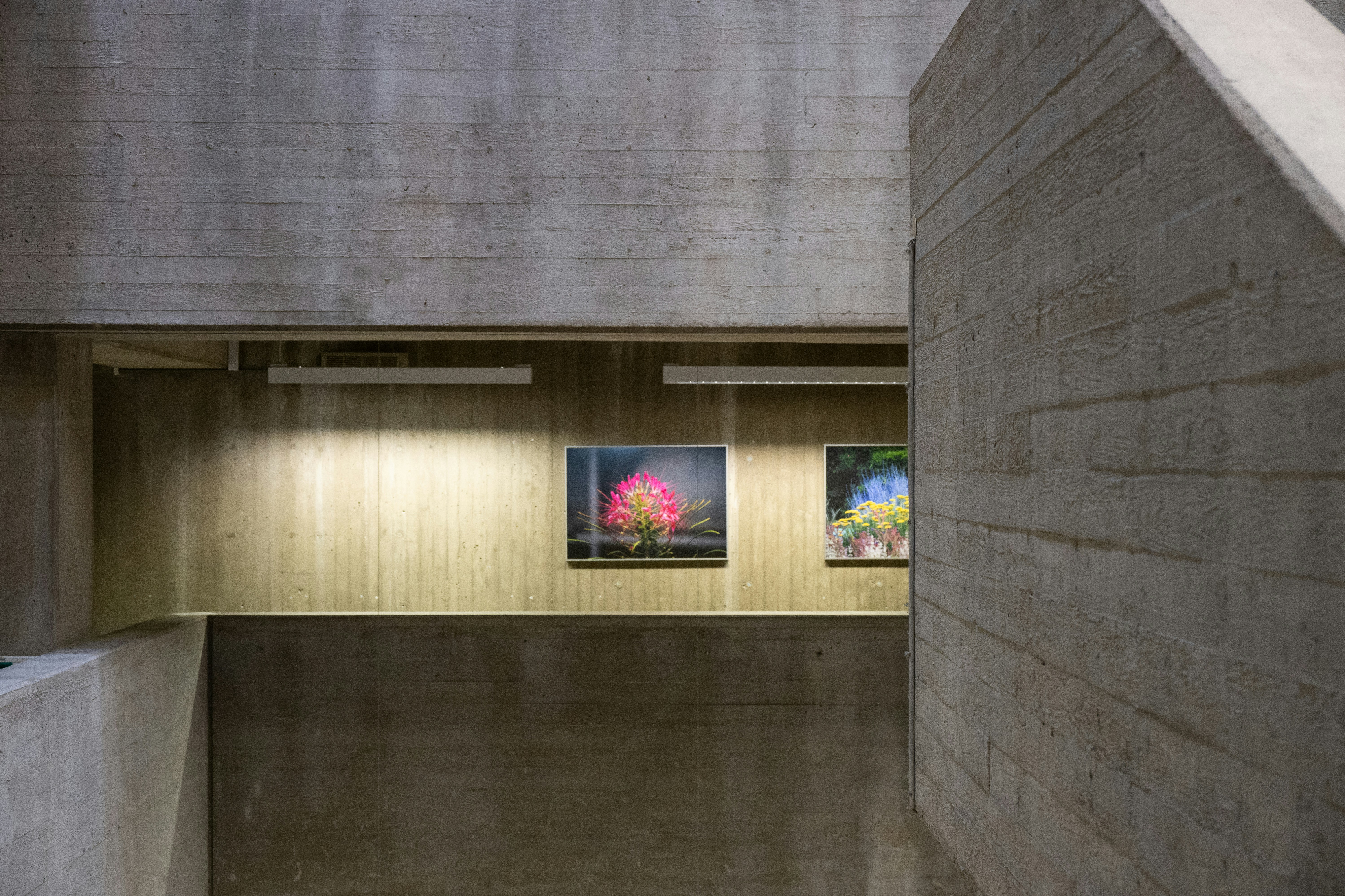 Photo by justmejuliee