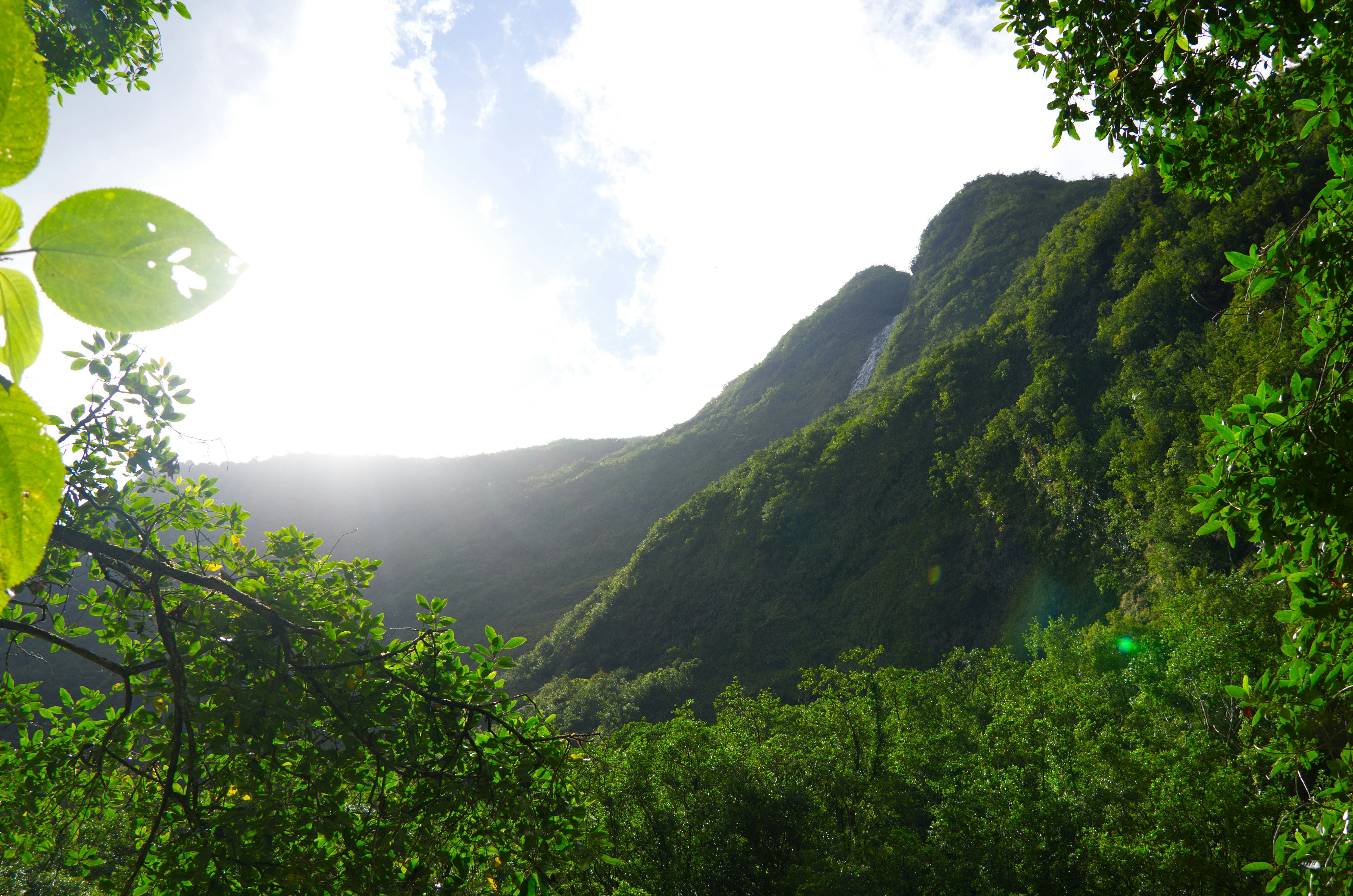 Photo by manuelfroehlich