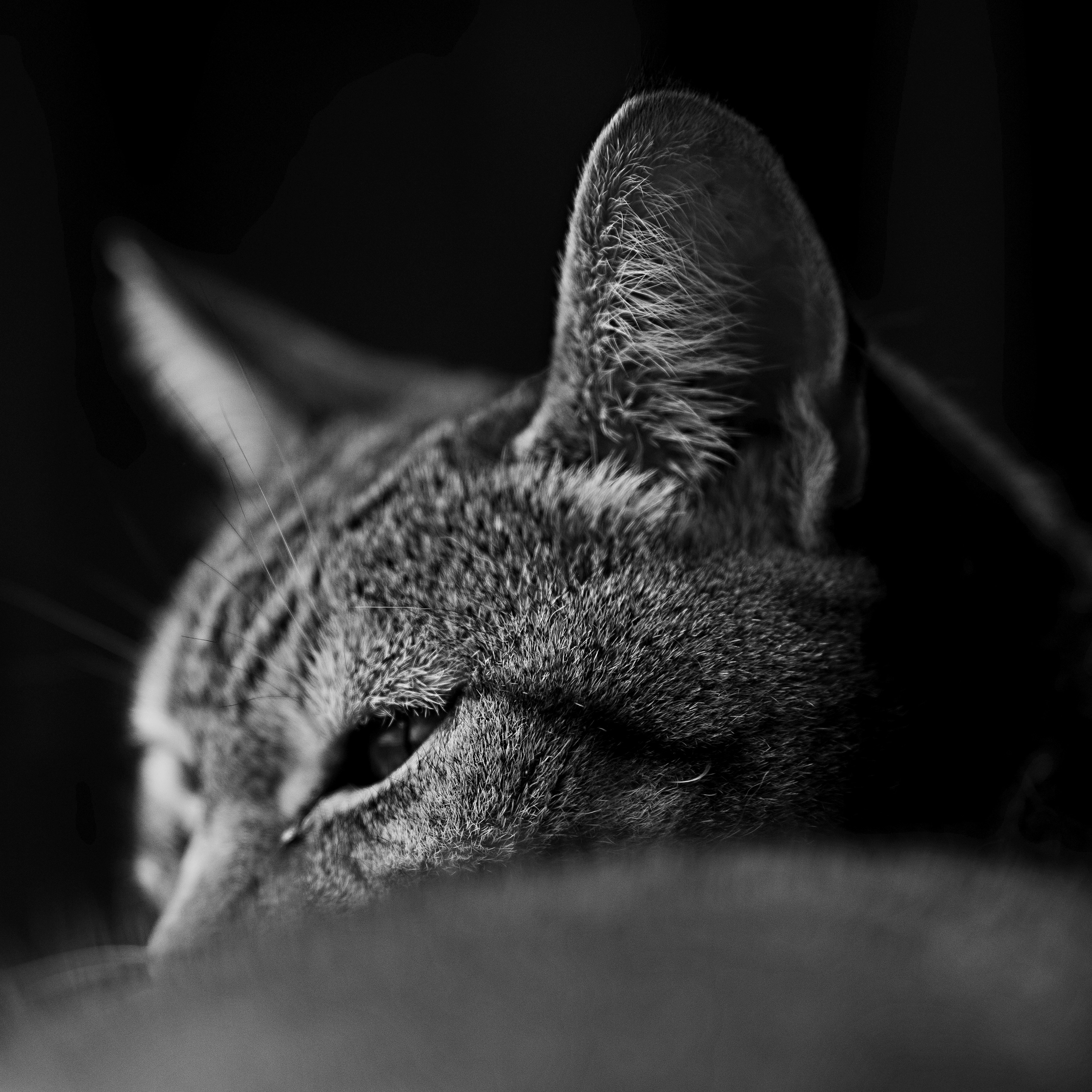 Photo by manuelfroehlich