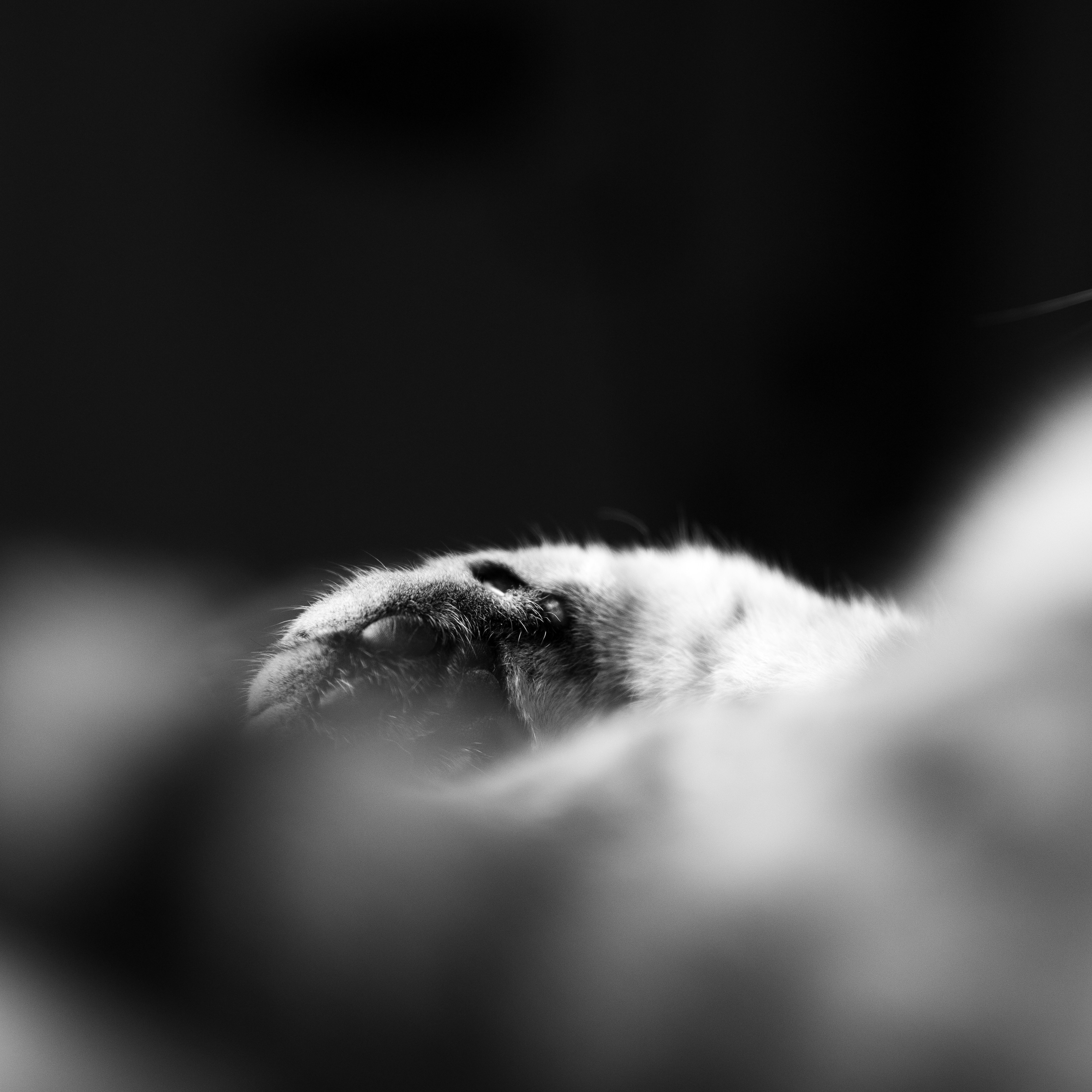 Photo by manuelfroehlich