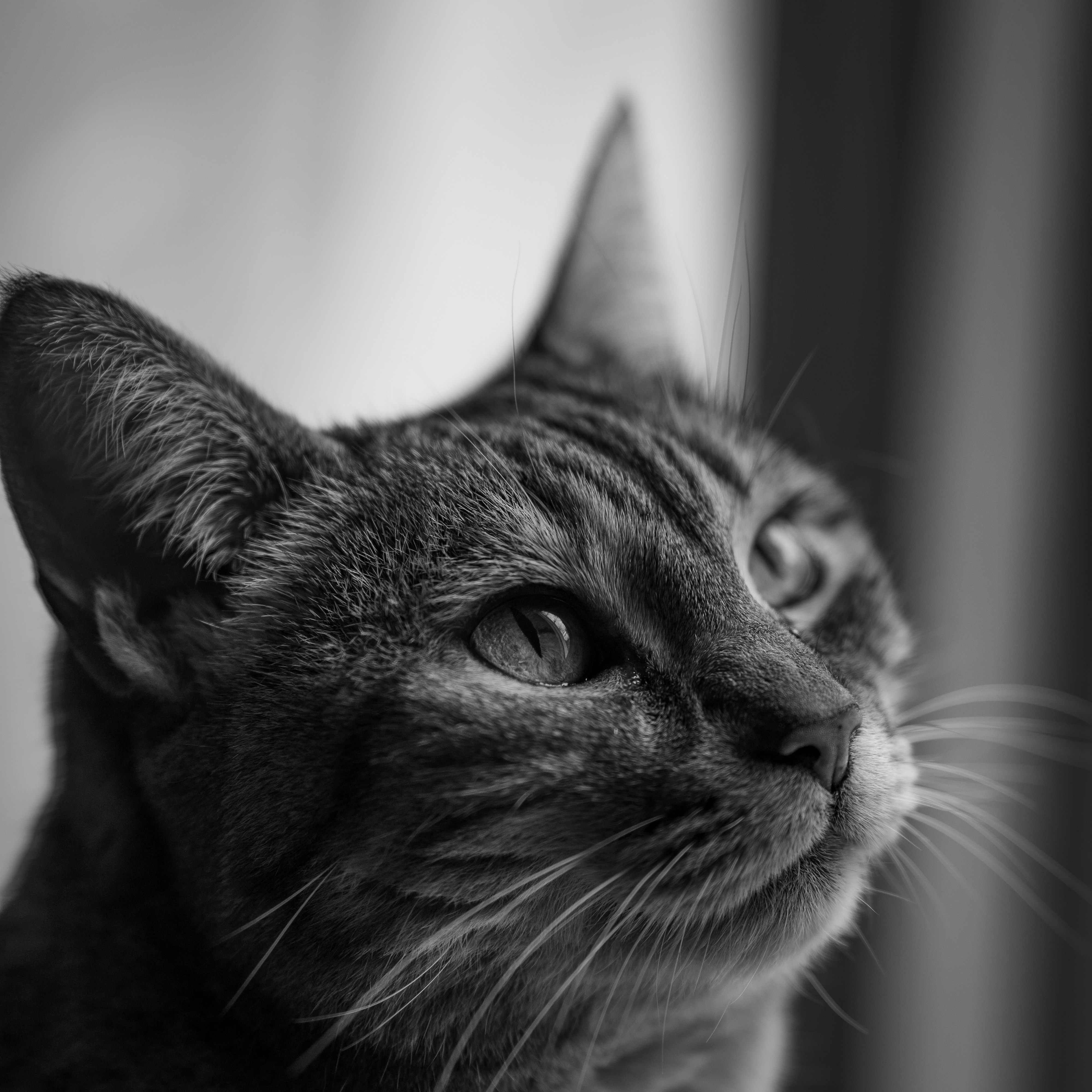 Photo by manuelfroehlich