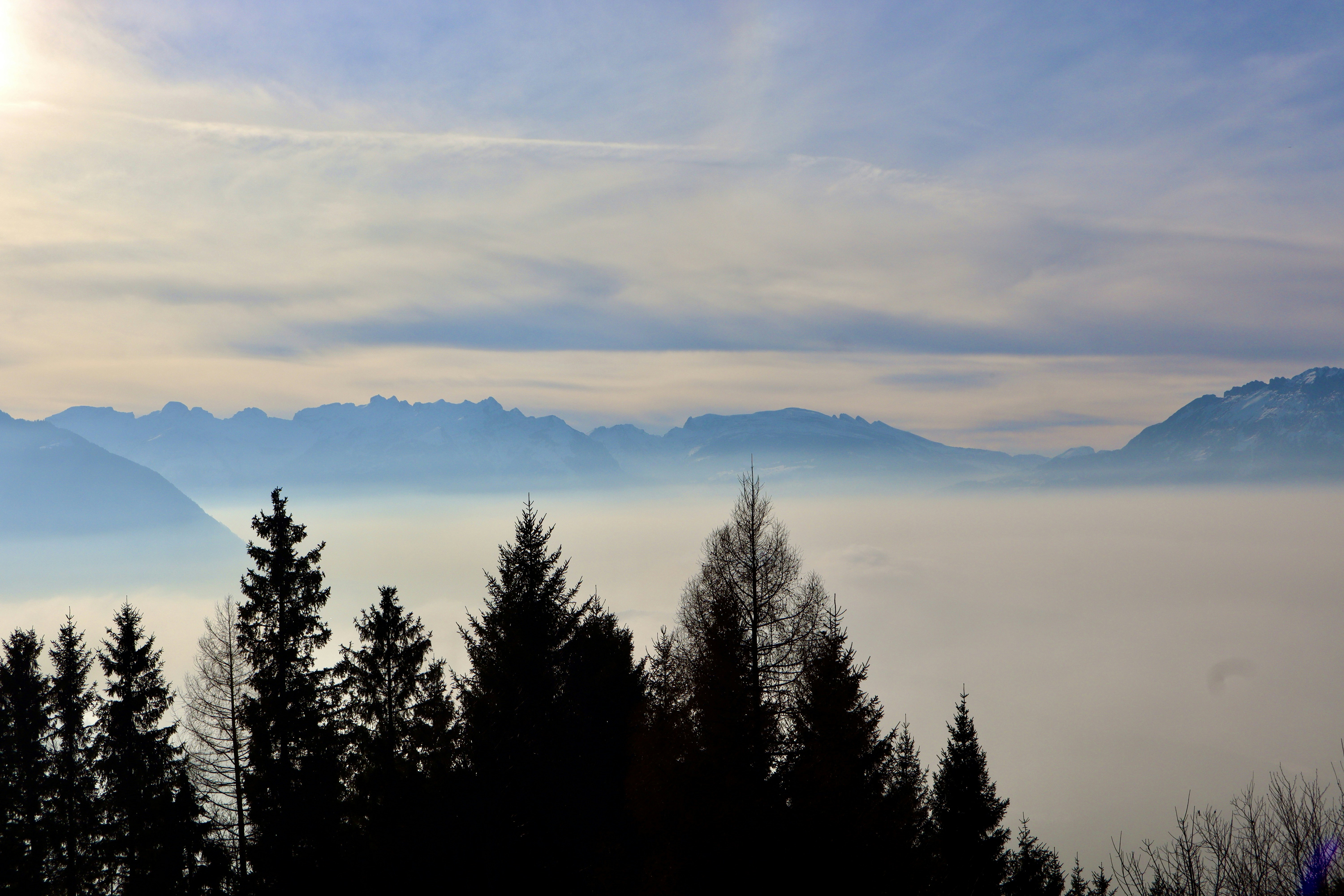 Photo by ioanavalentina