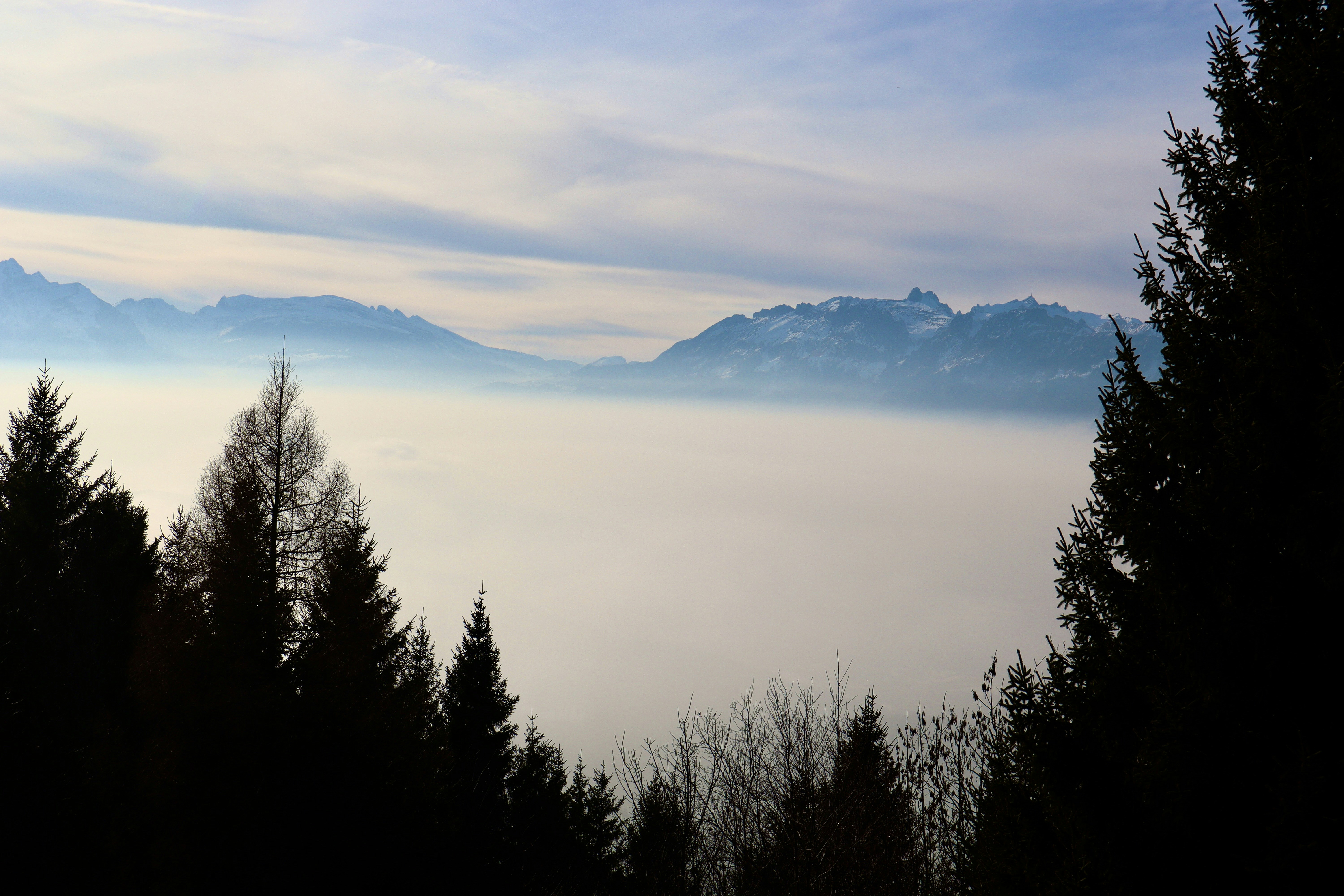 Photo by ioanavalentina