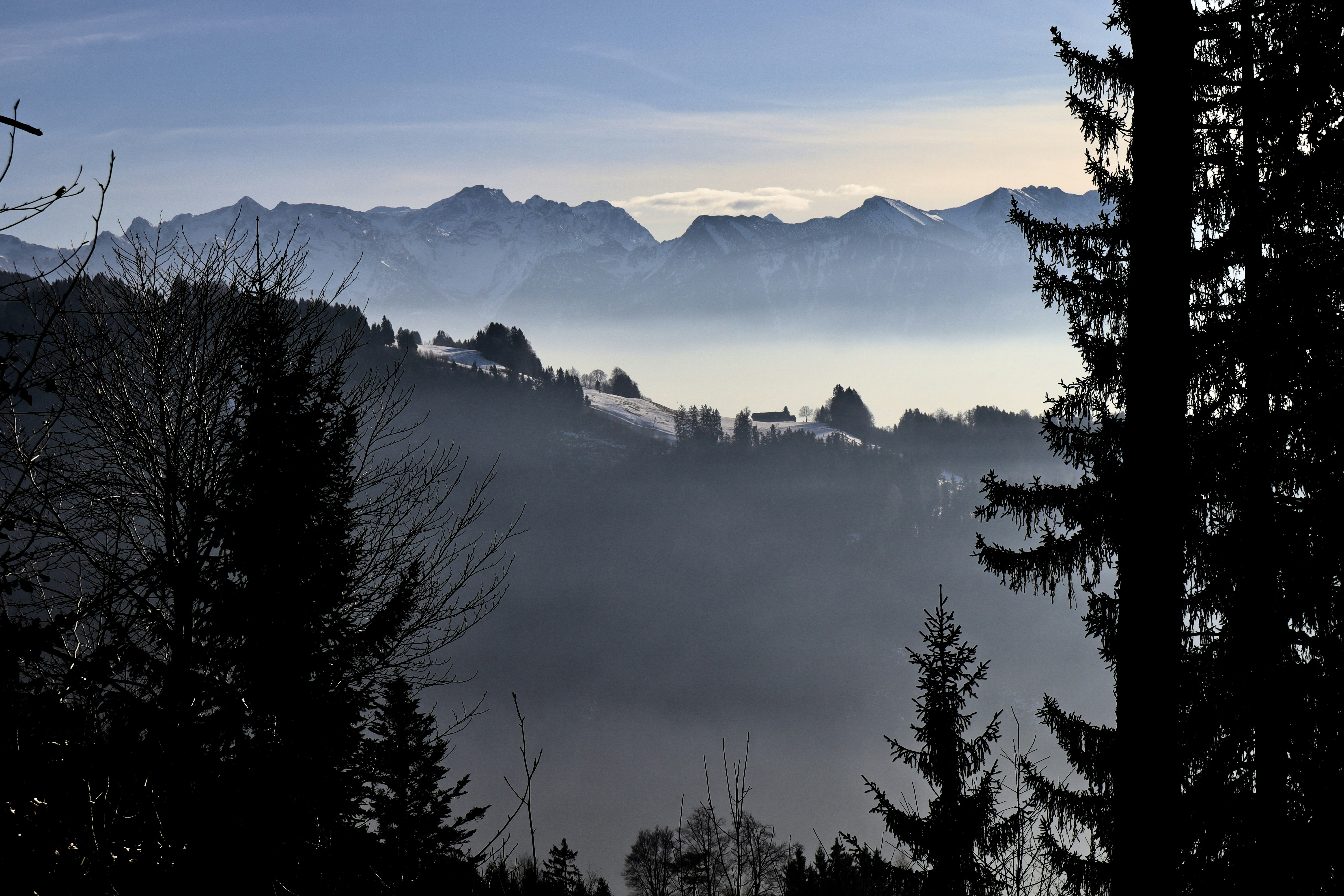 Photo by ioanavalentina