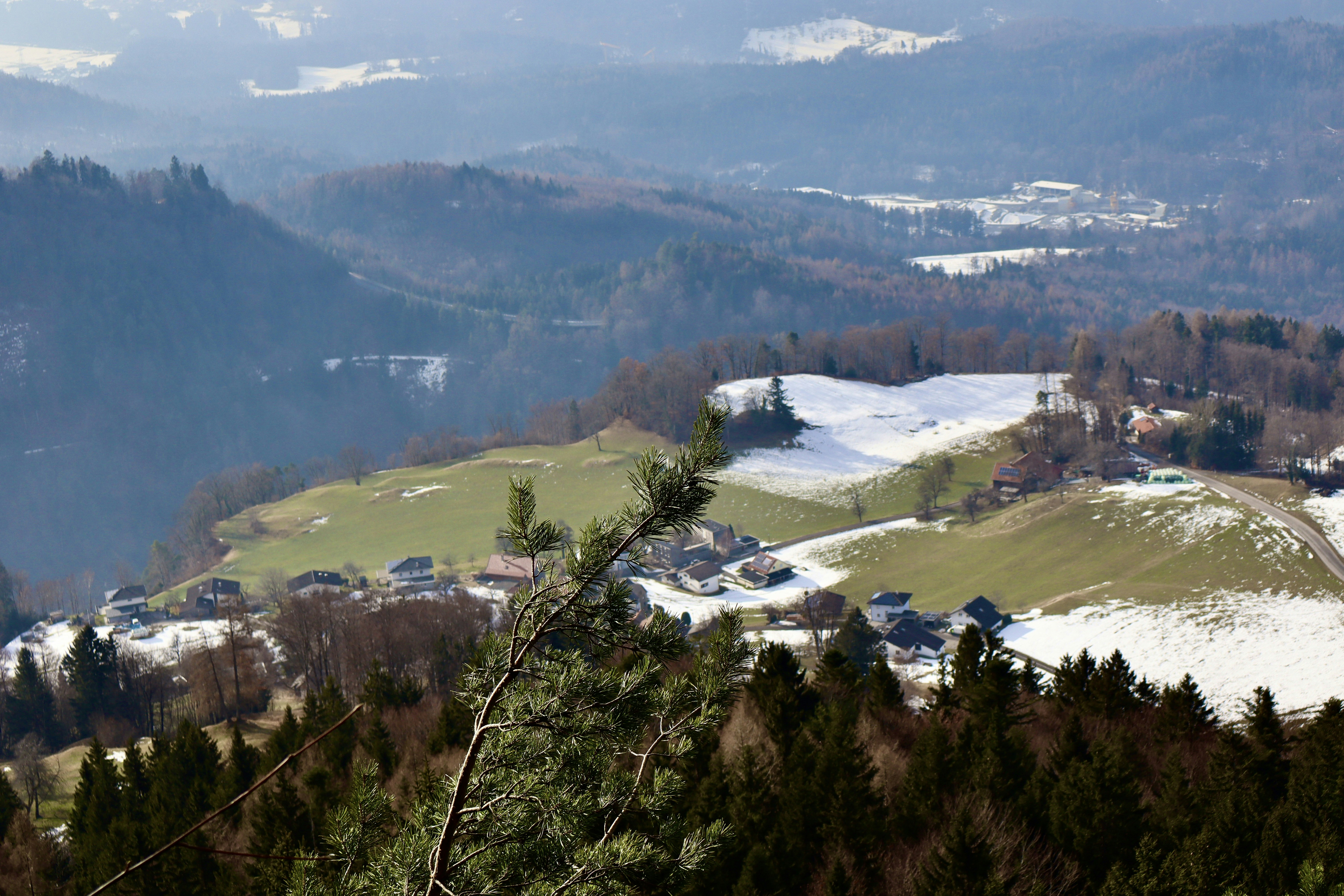 Photo by ioanavalentina