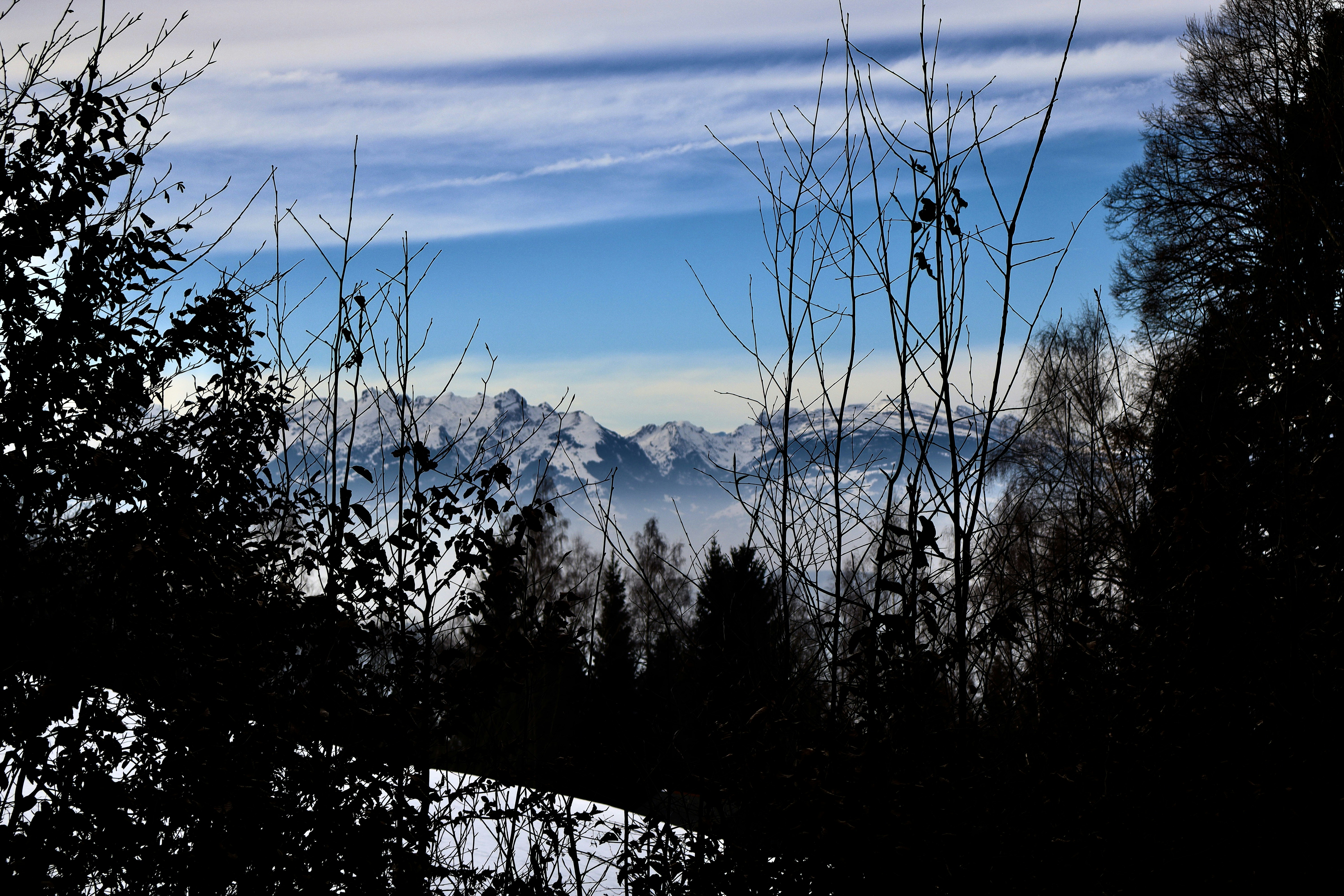 Photo by ioanavalentina