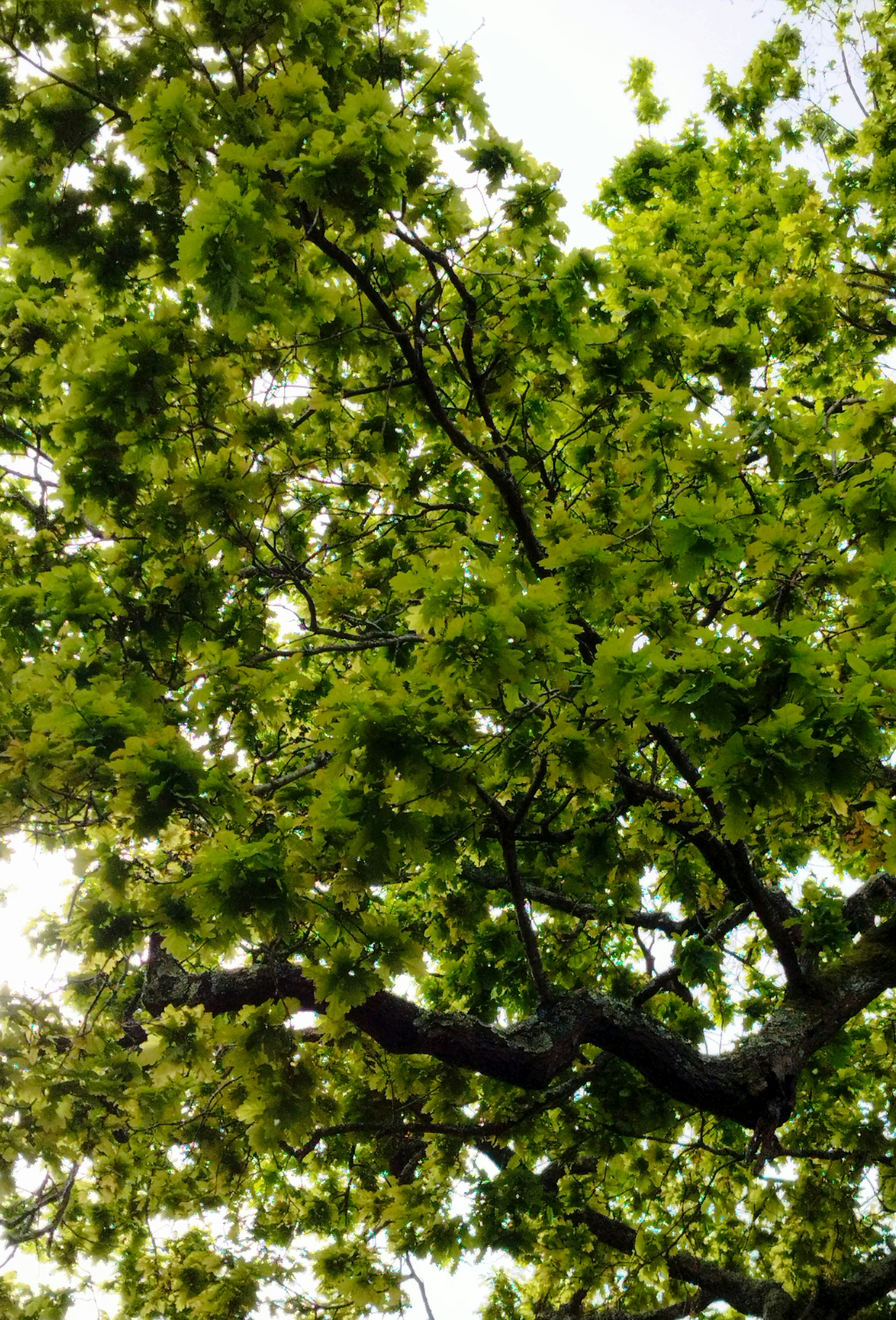 Photo by criativideas