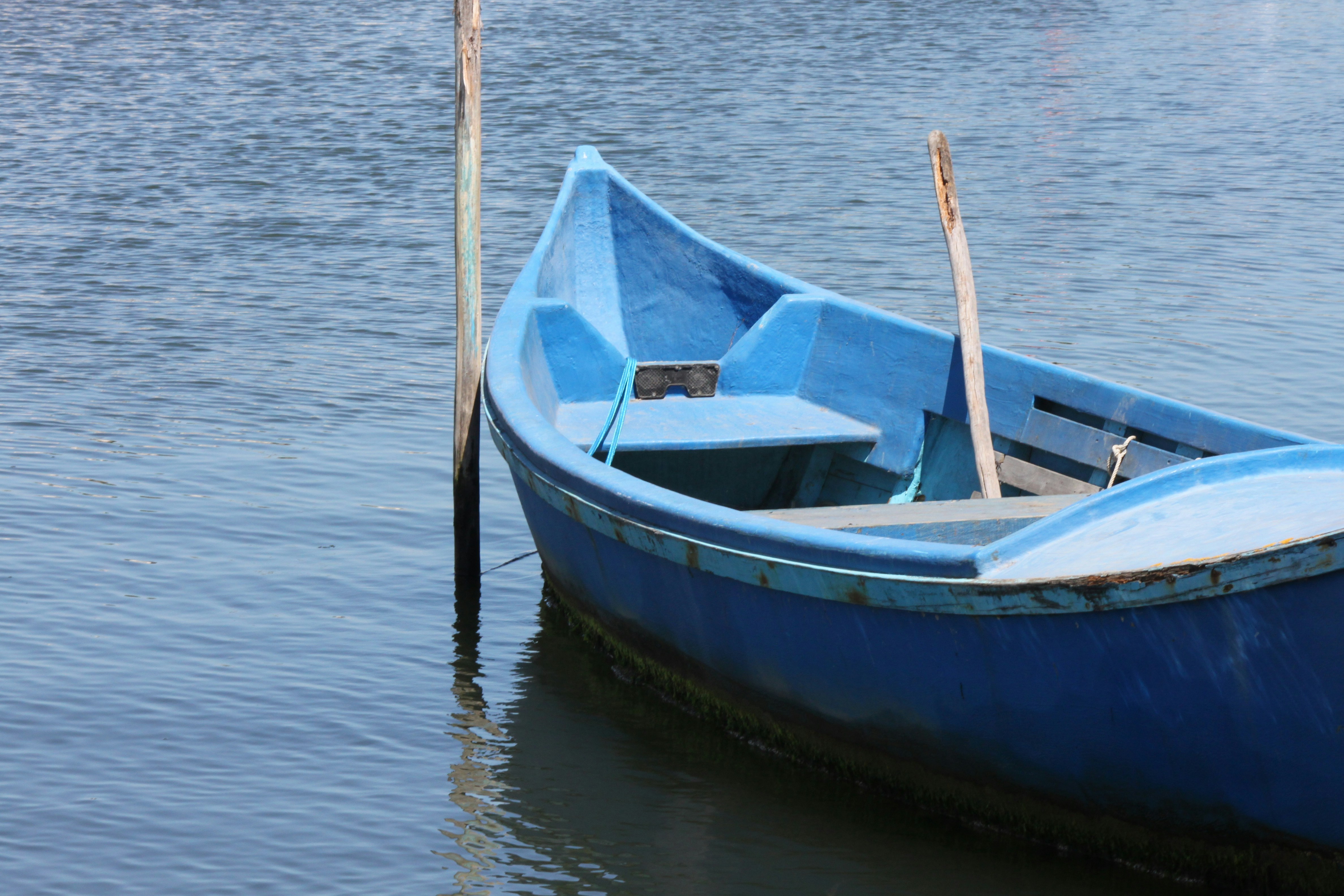 Photo by criativideas