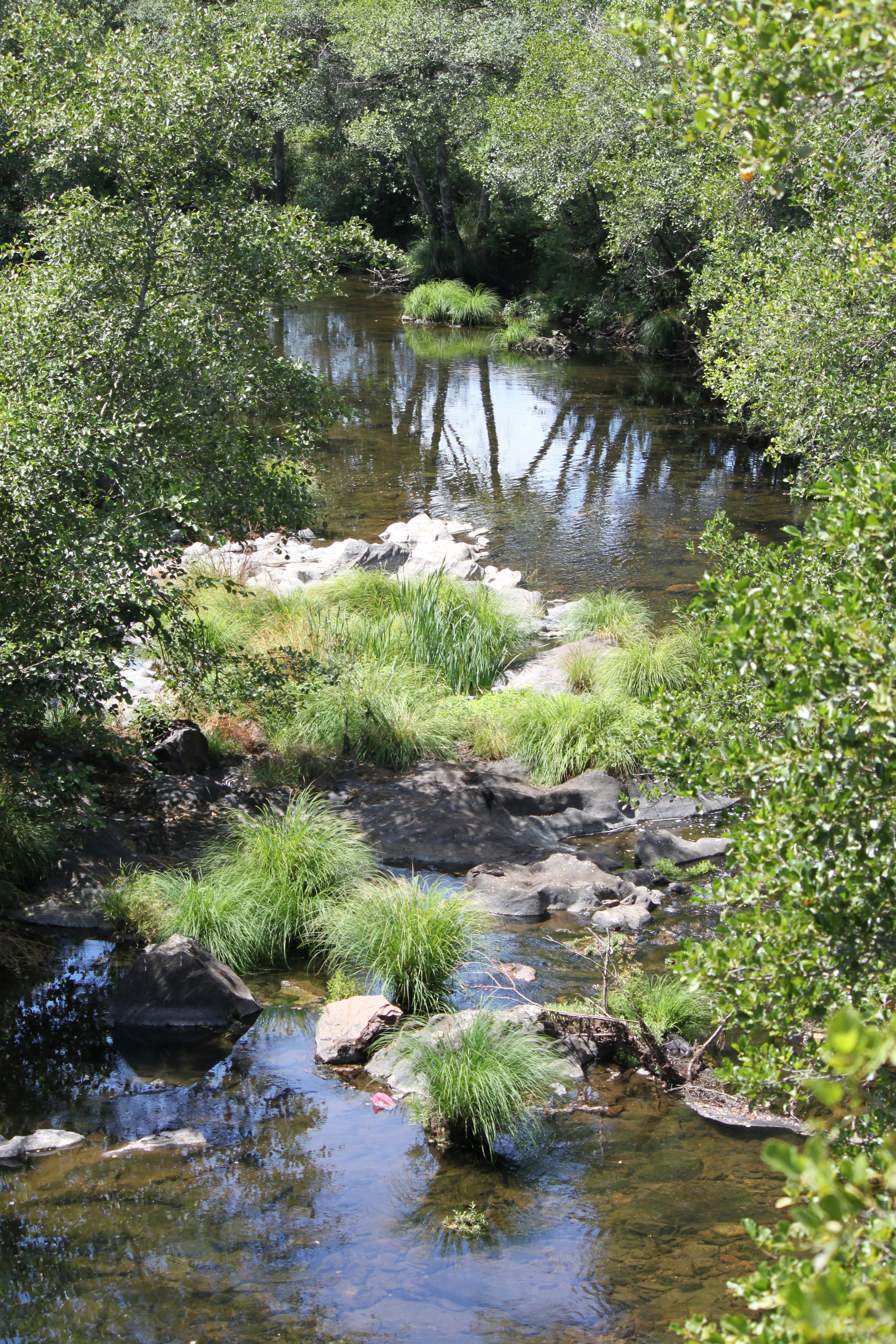 Photo by criativideas