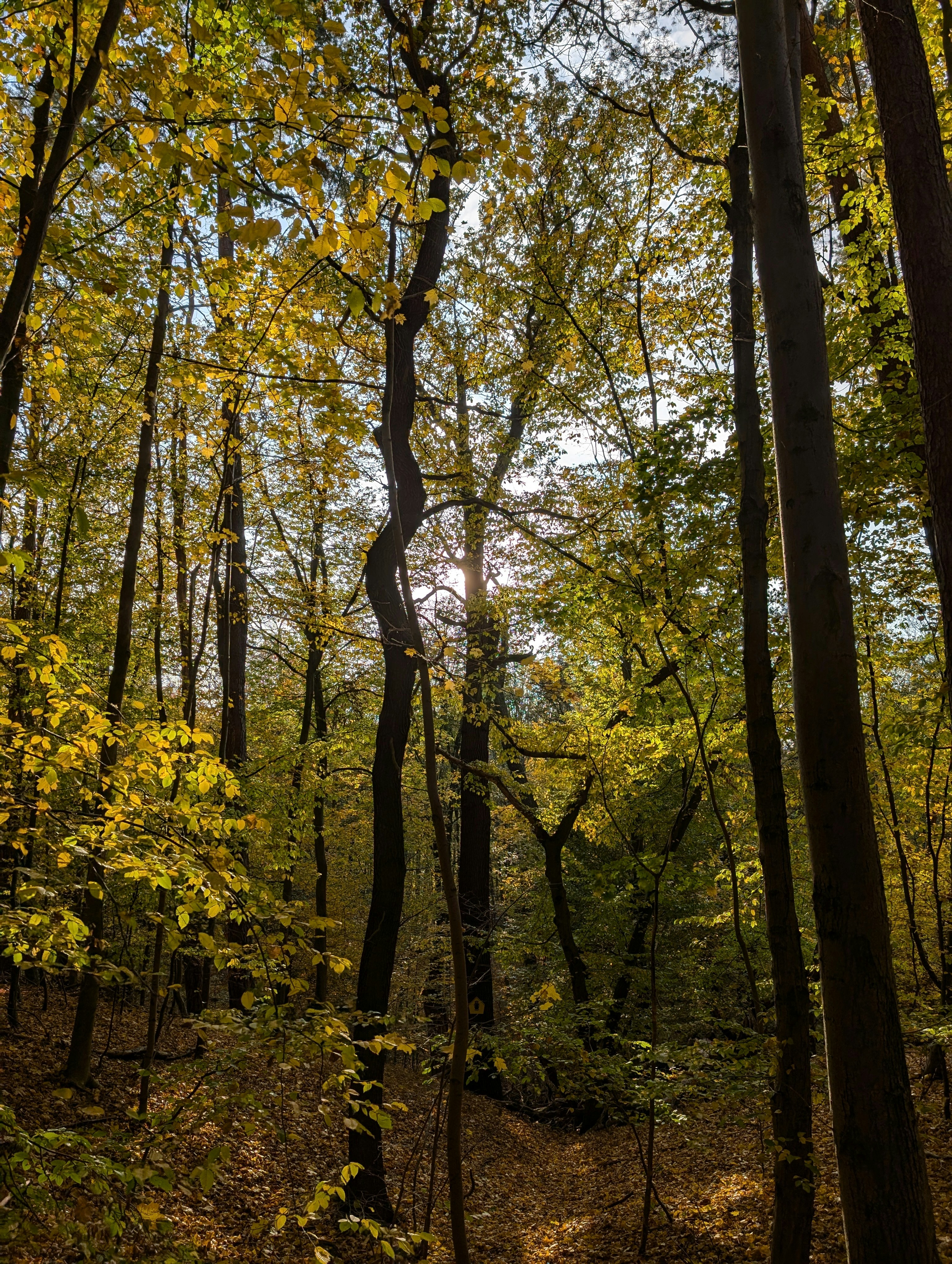 Photo by antjewinkler