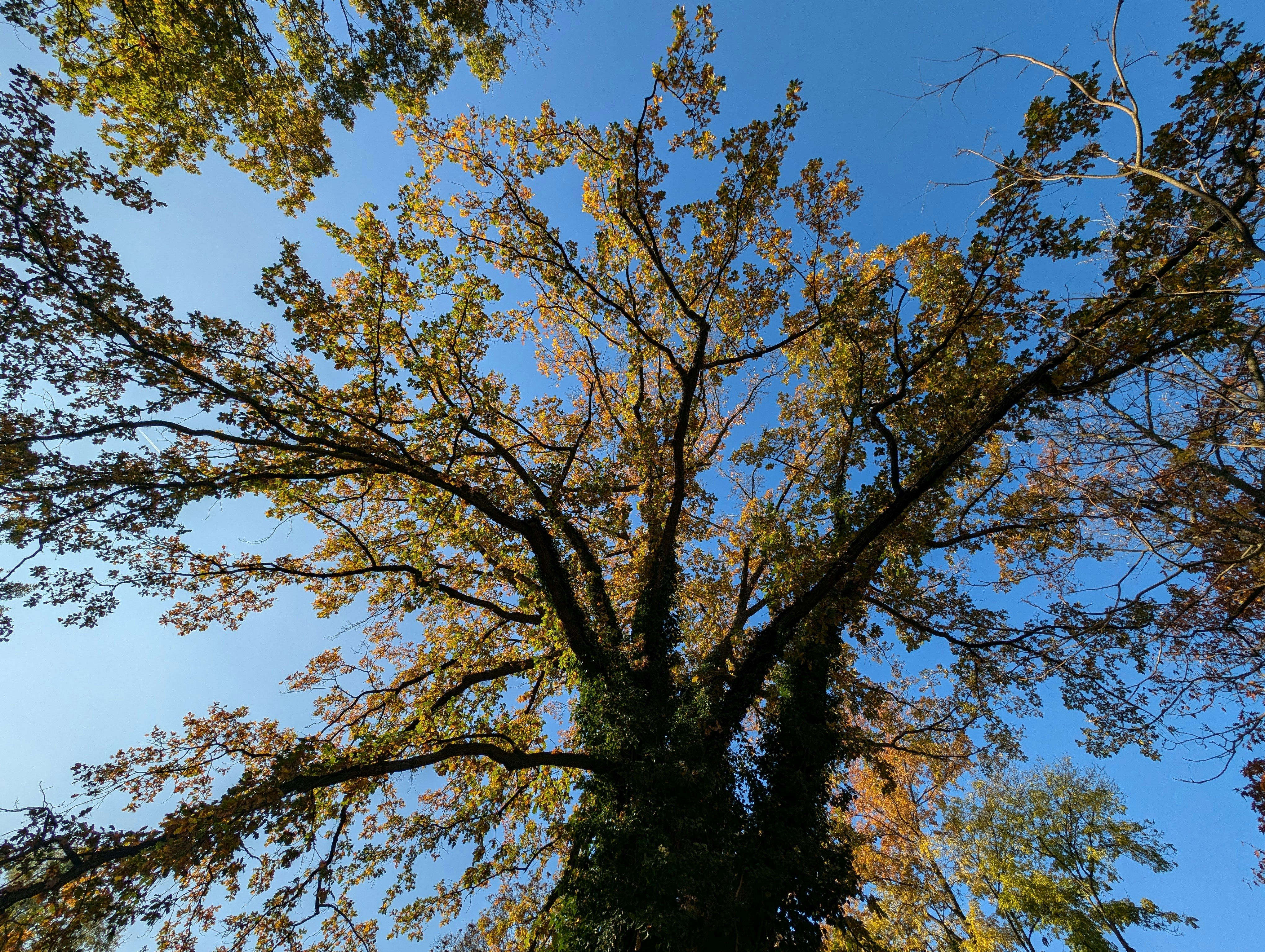 Photo by antjewinkler