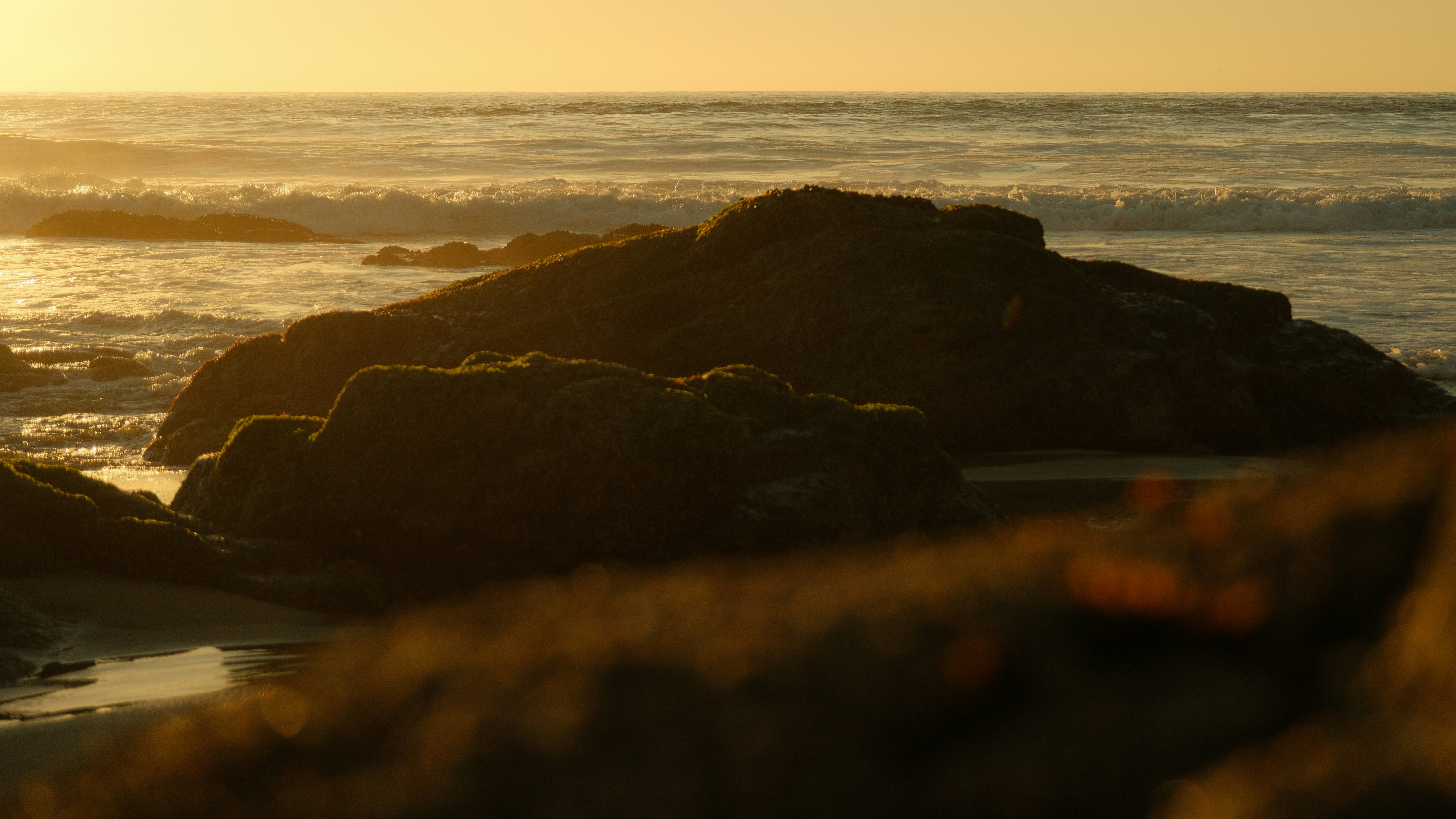 Photo by kalaniparker