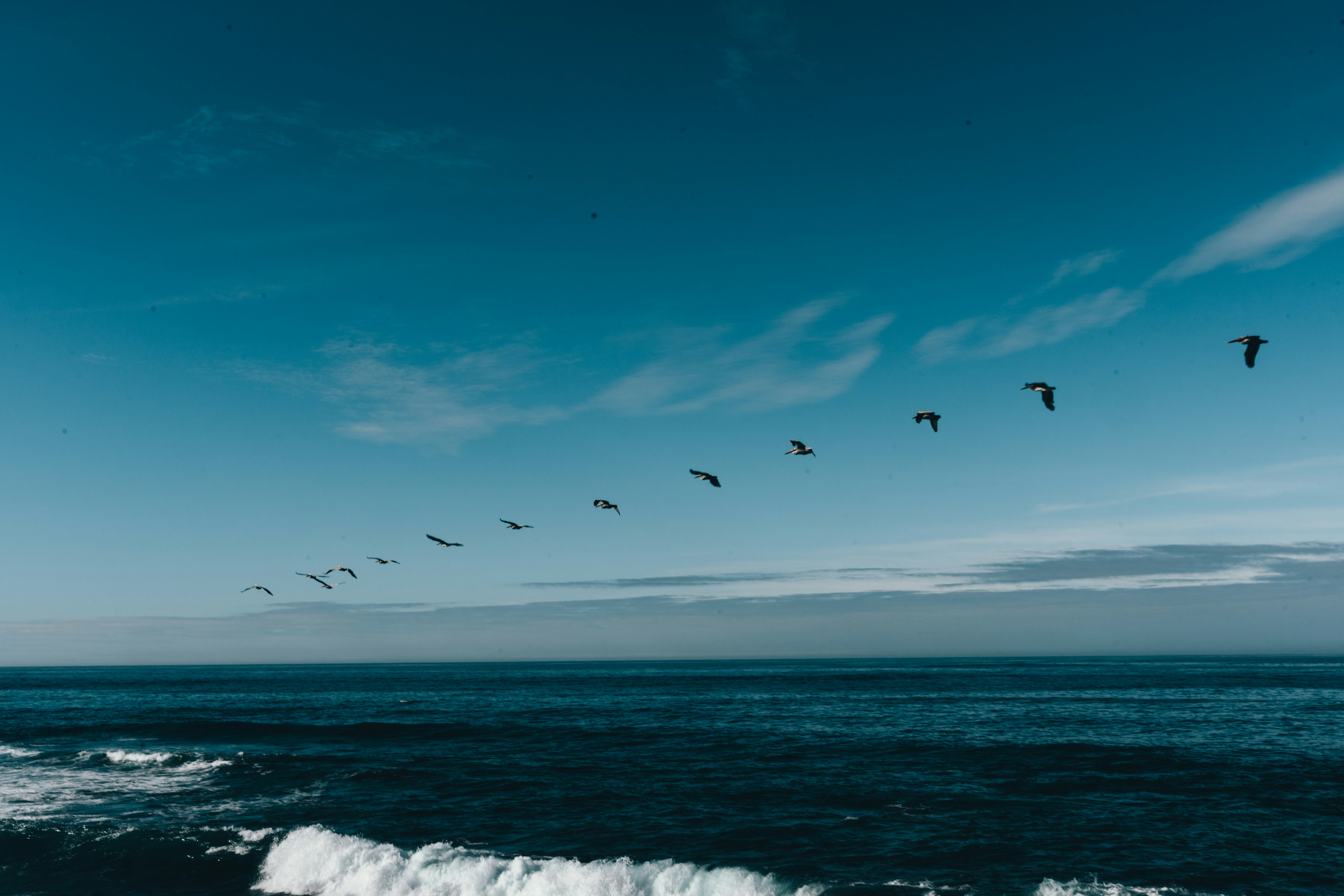 Photo by sherlockjin