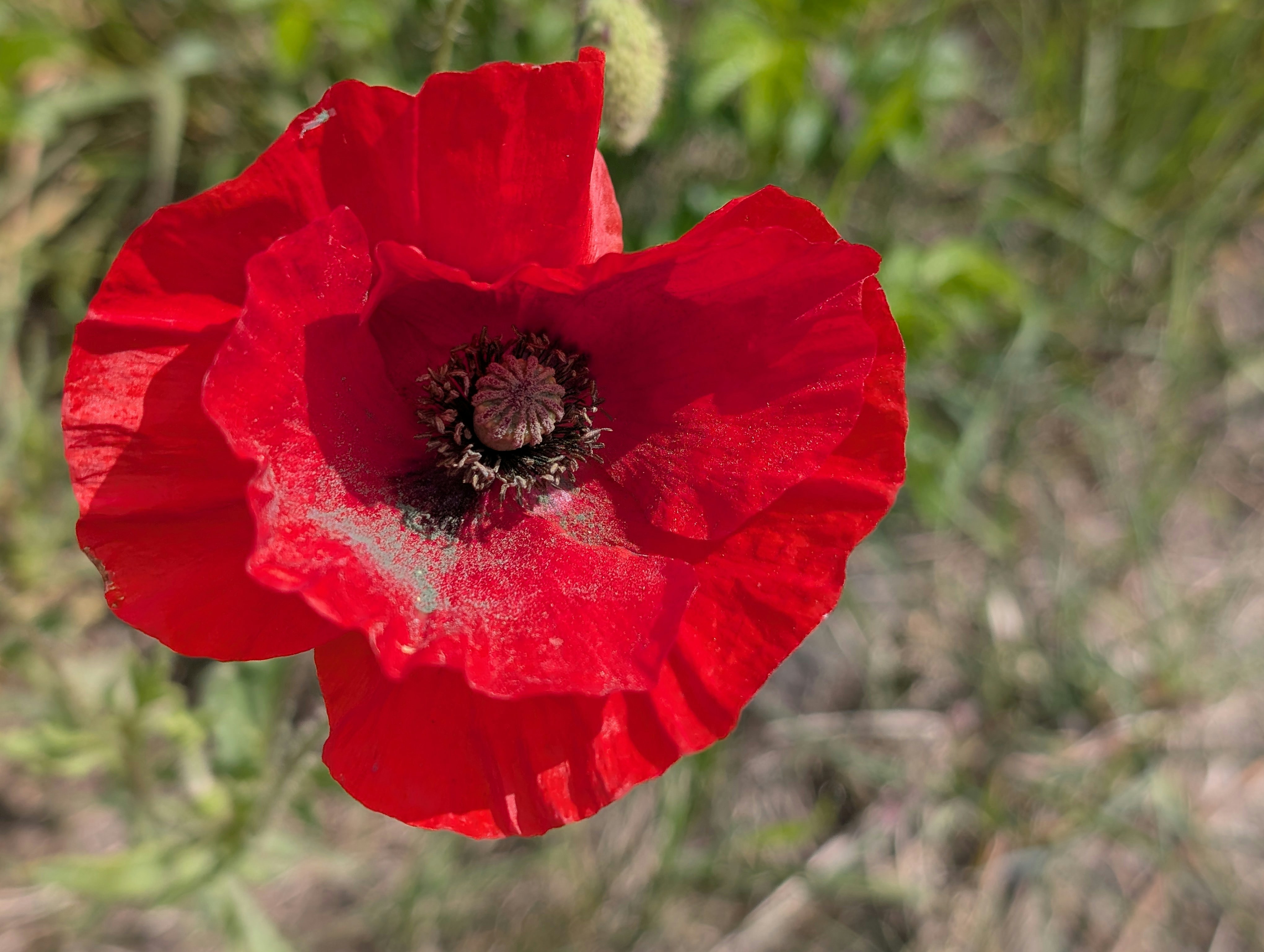 Photo by antjewinkler