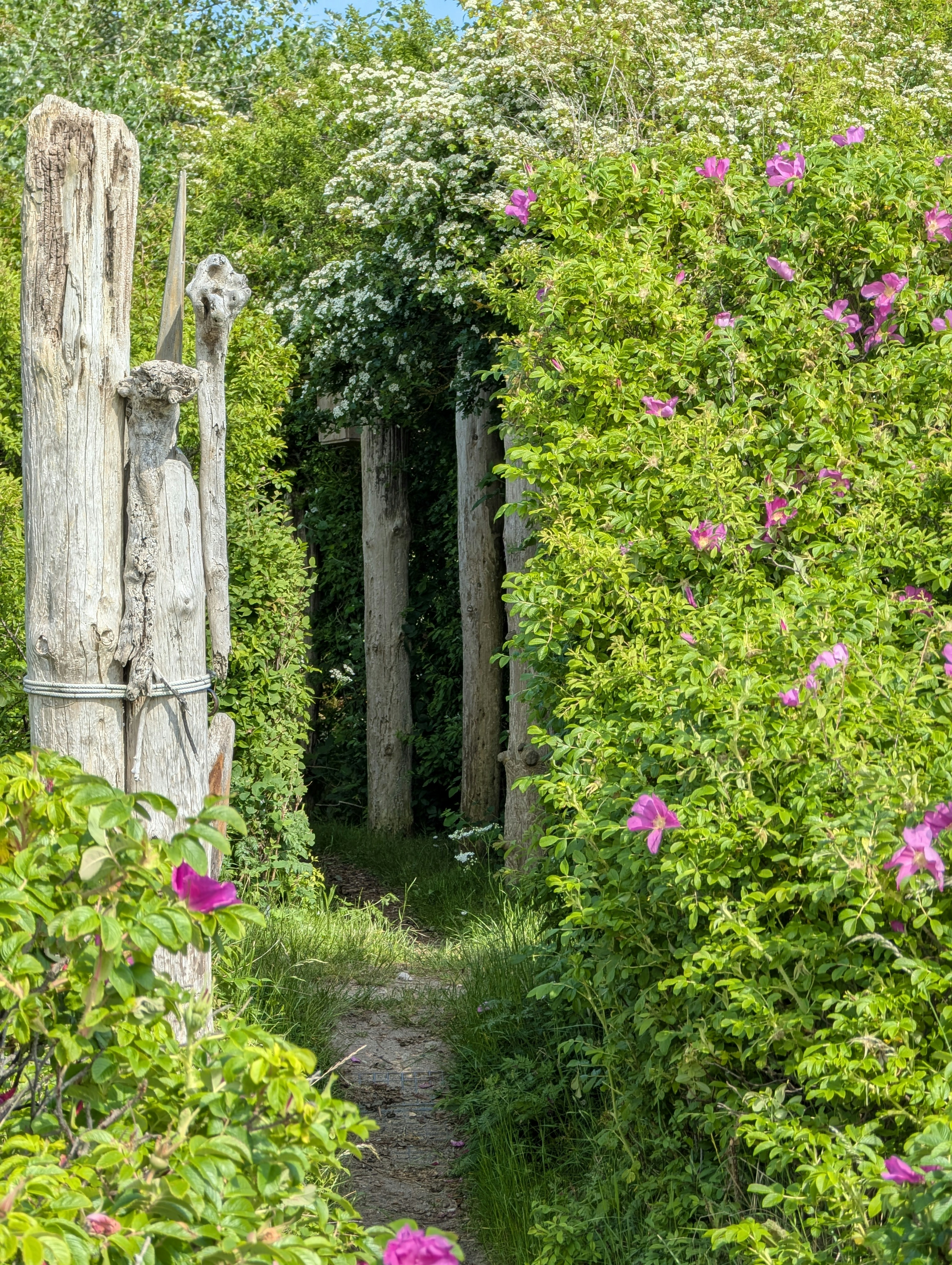 Photo by antjewinkler