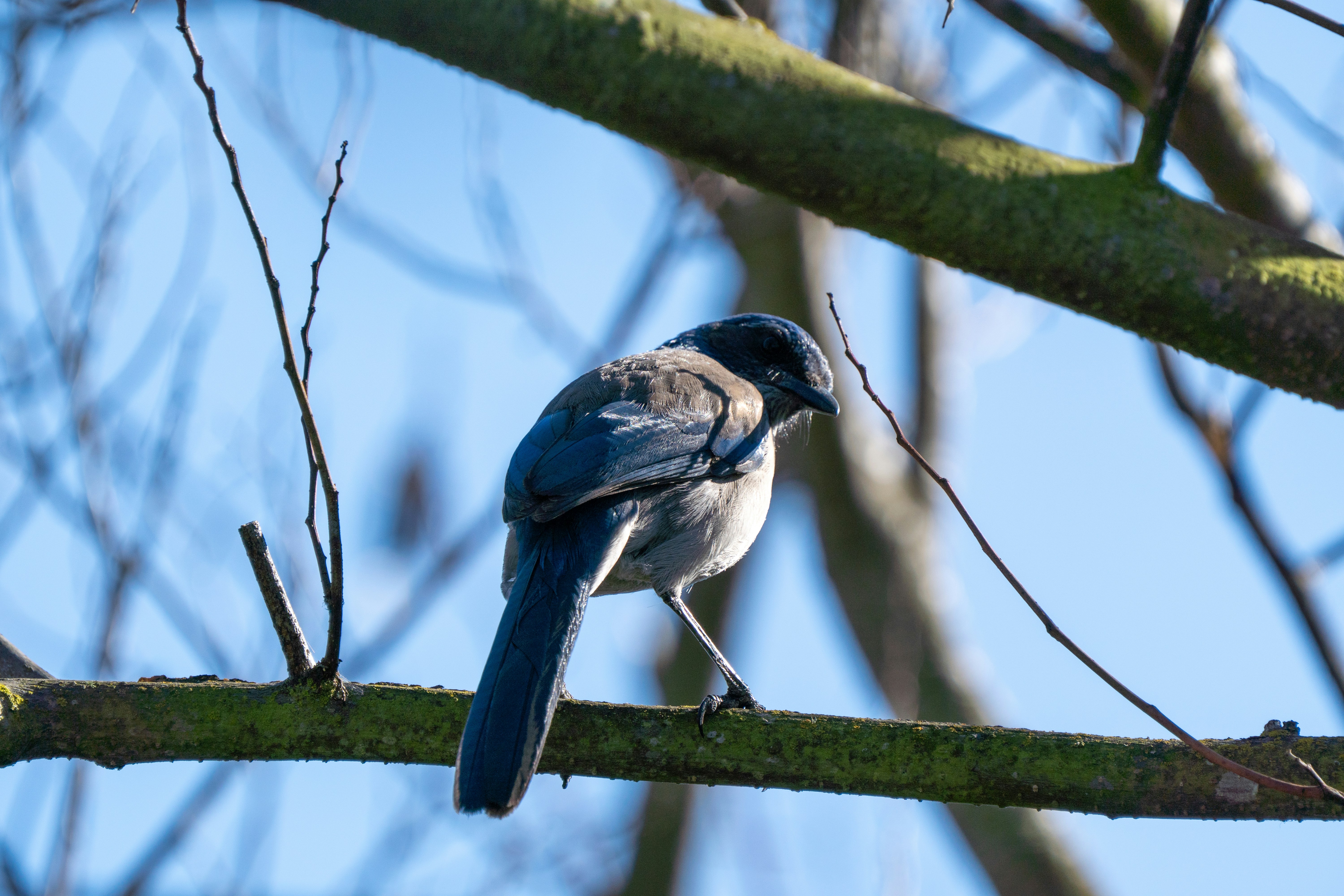 Photo by zacharia_17