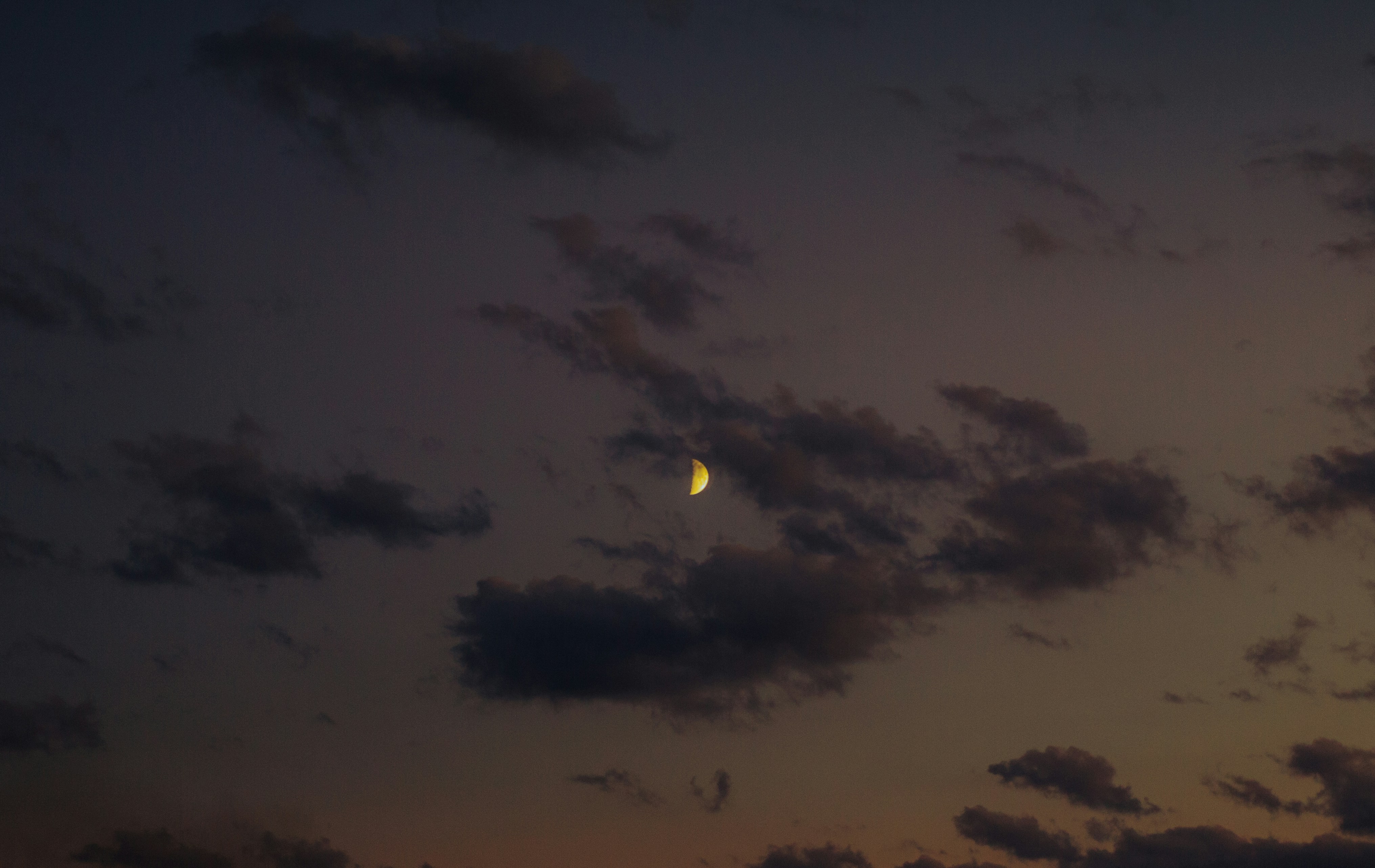 The Role of Chiropractic Adjustments in Health and Wellness