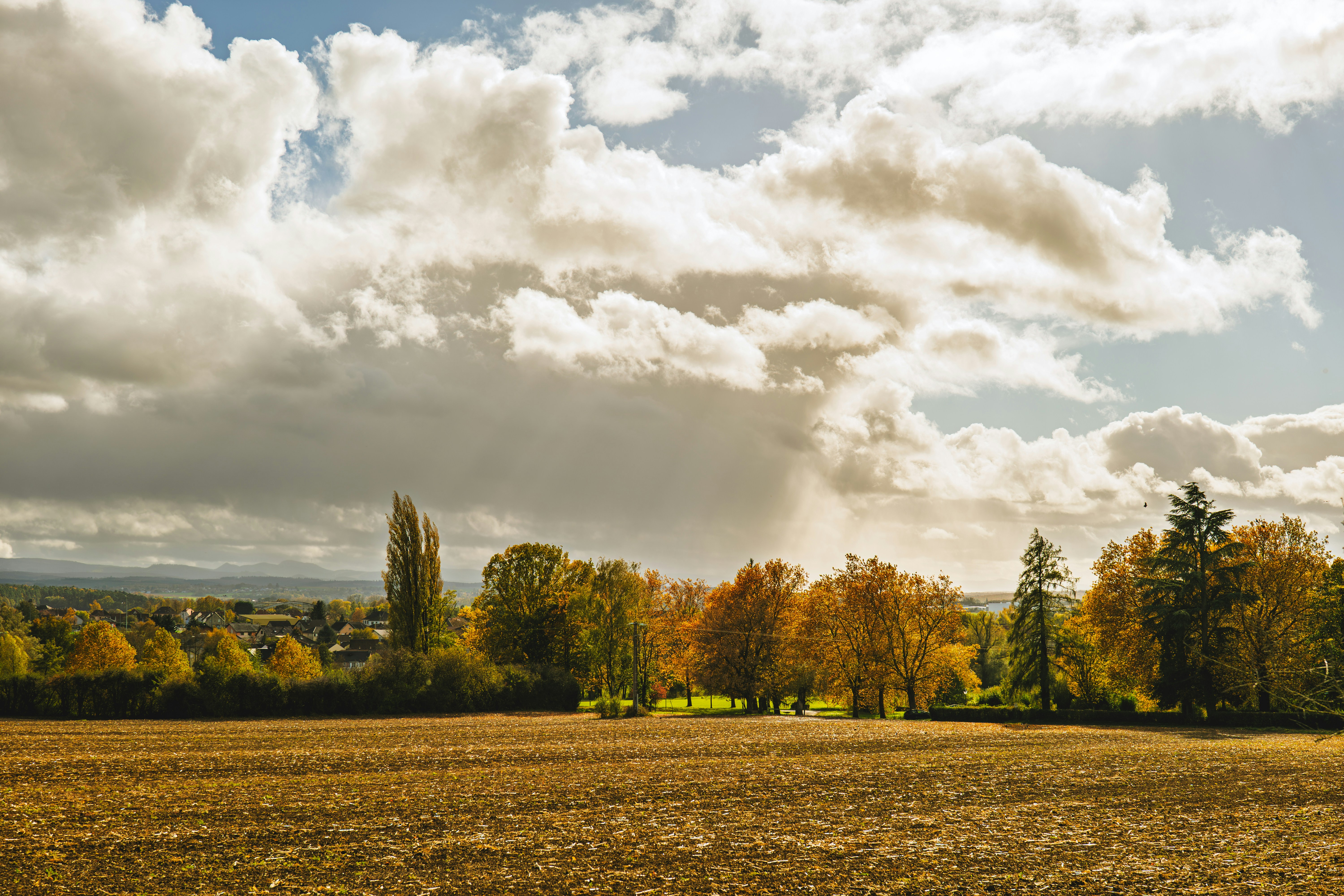 Golden autumn trees under a dramatic cloudy sky.